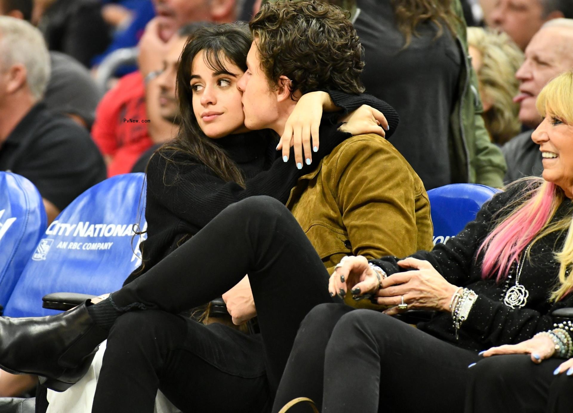 Camila Cabello and Shawn Mendes