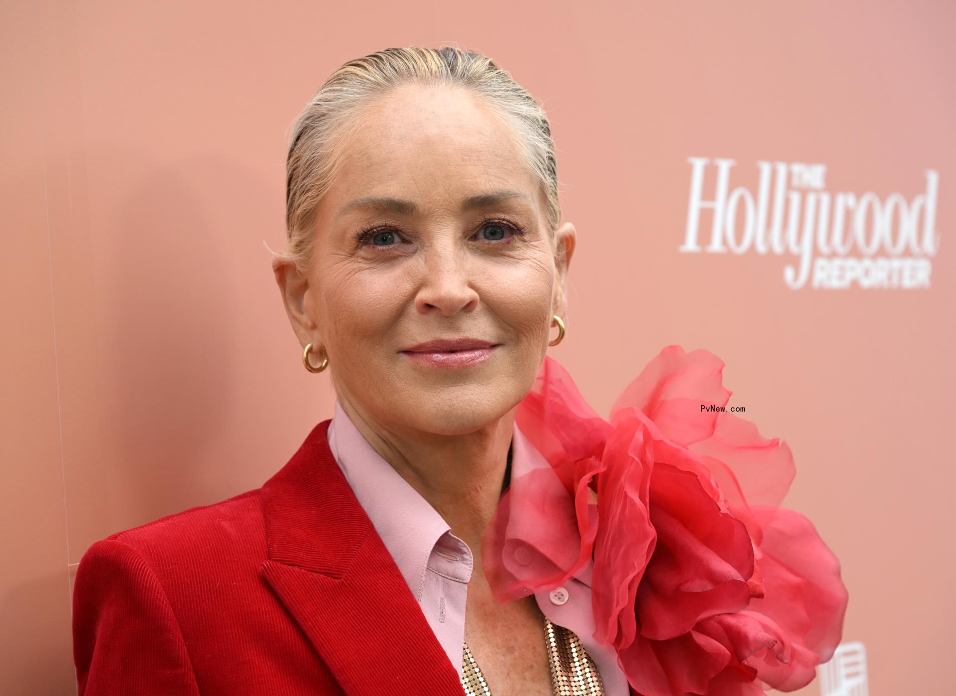Sharon Stone