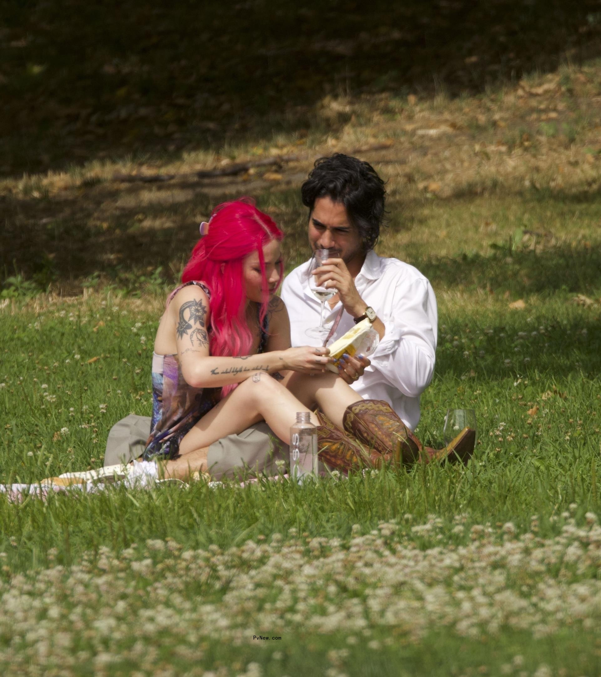 Halsey and Avan Jogia havin<i></i>g picnic in NYC park