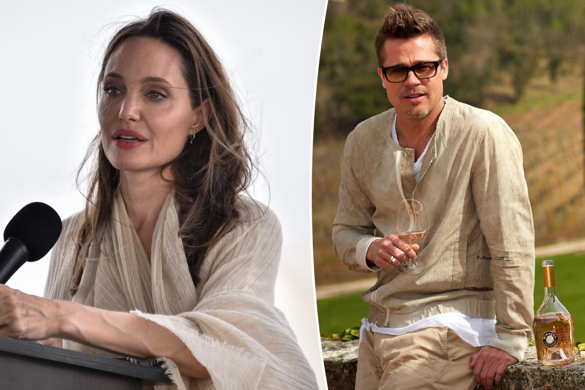 Angelina Jolie asks Brad Pitt to ‘end the fighting’ and dro<i></i>p his winery lawsuit against her