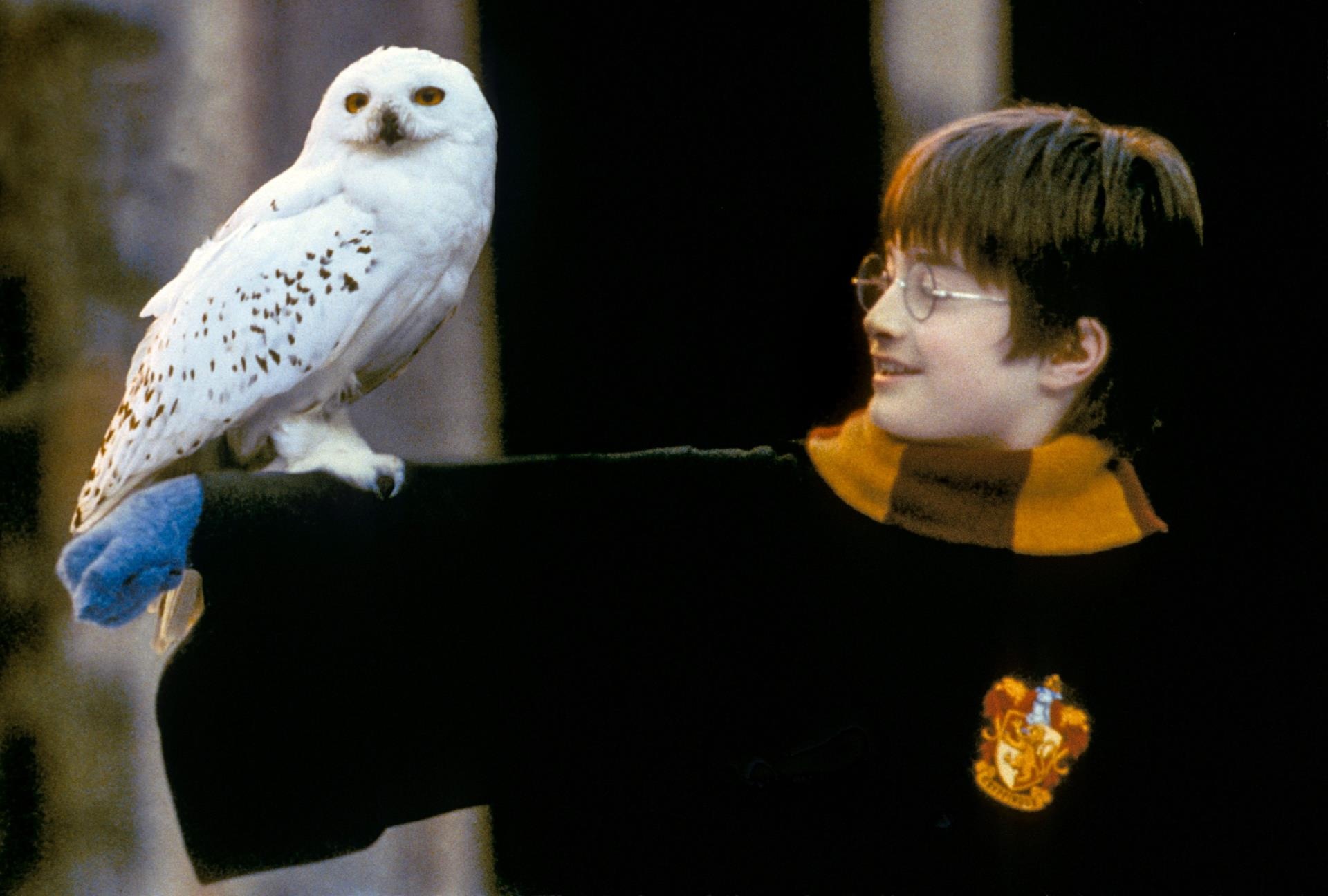 ‘Harry Potter,’ ‘It’ Prequel ‘Welcome to Derry’ and Other Warner Bros. Tentpole Series to Be Branded as HBO Originals Instead of Max