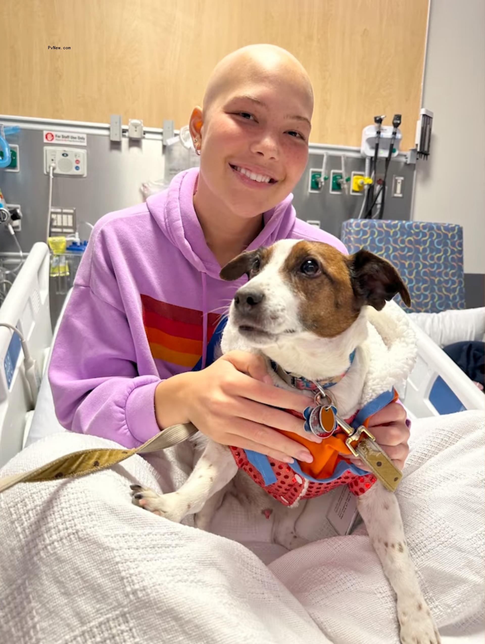 Isabella Strahan hospital posing with dog