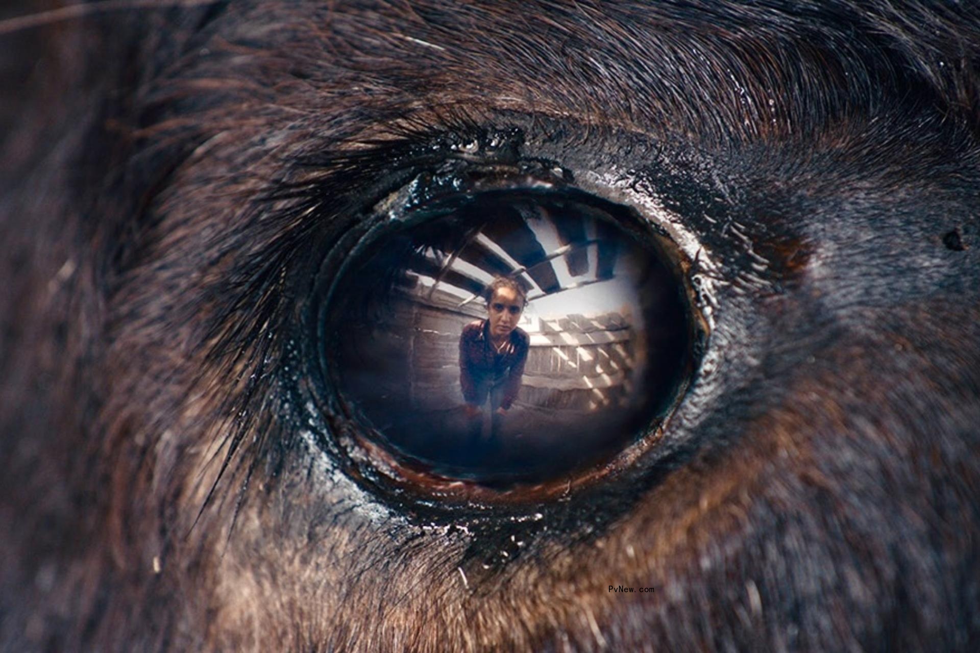 Neuchatel Fantastic Film Festival Finds Deeper Truths in Fantasy