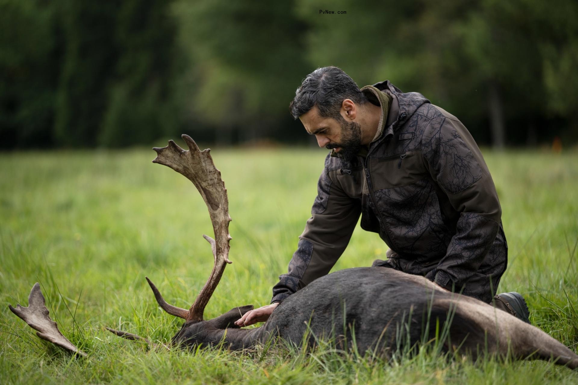 Neuchatel Fantastic Film Festival Finds Deeper Truths in Fantasy