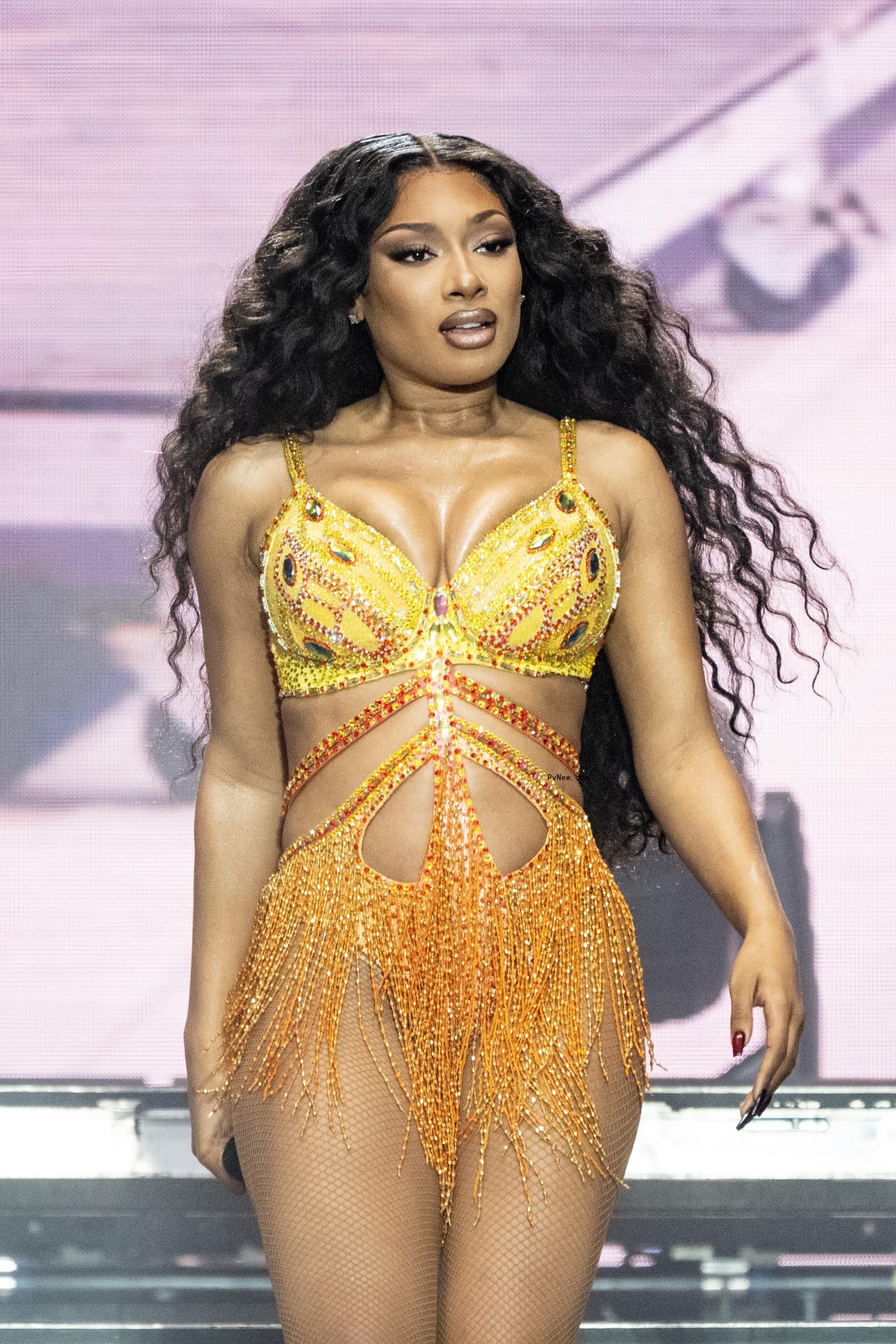 Megan Thee Stallion performing on stage.