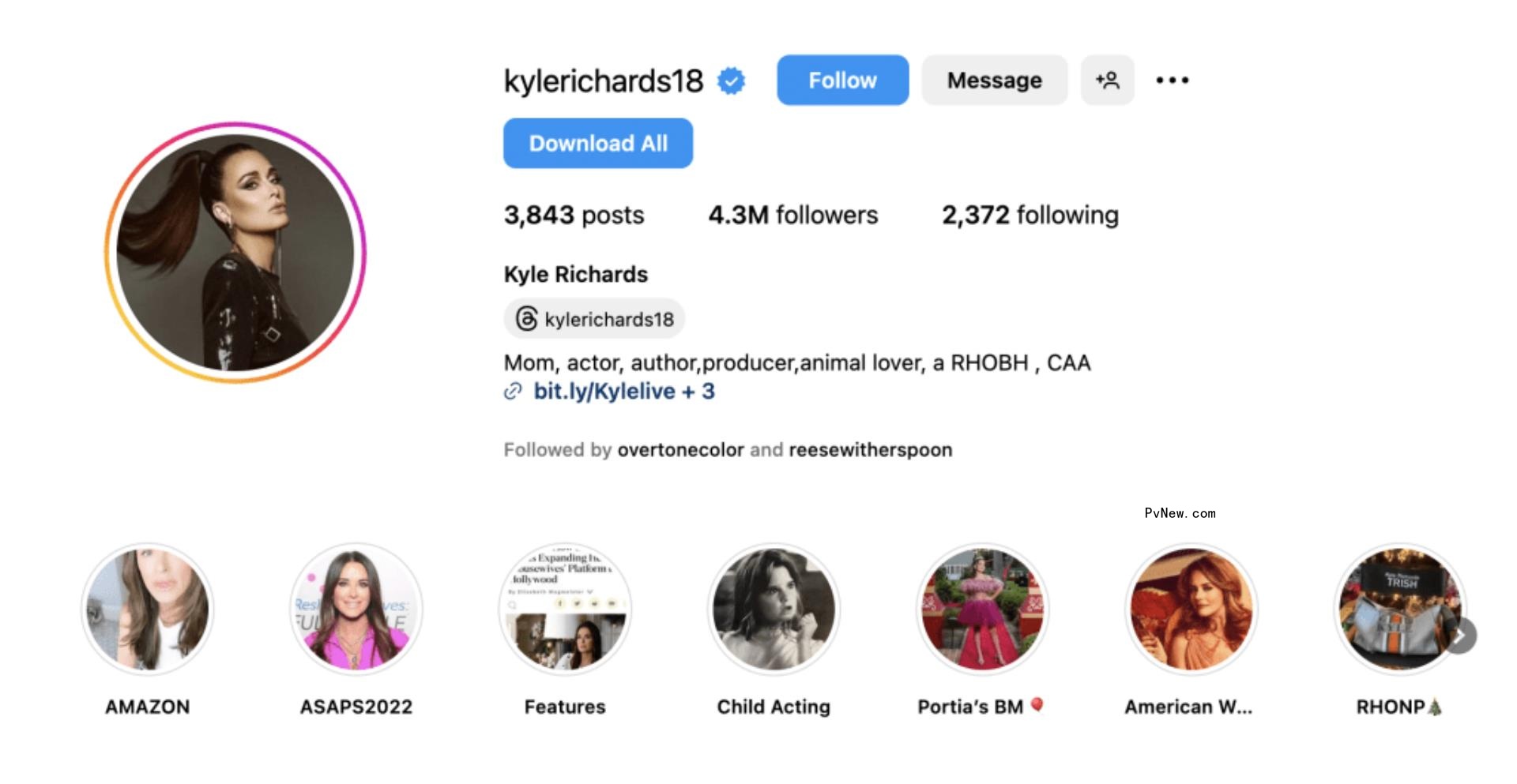 Kyle Ricards Instagram bio