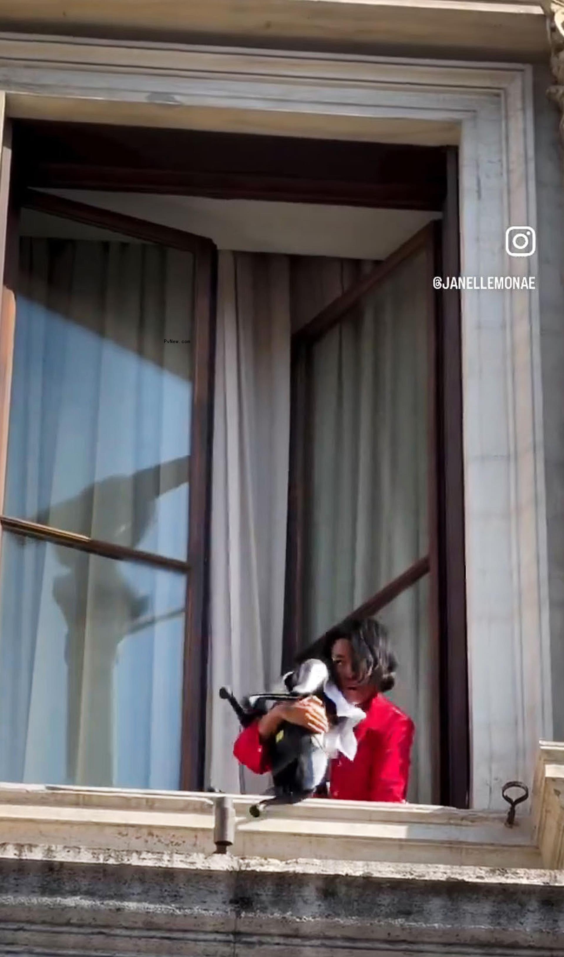 Janelle Mo<i></i>nae Instagram