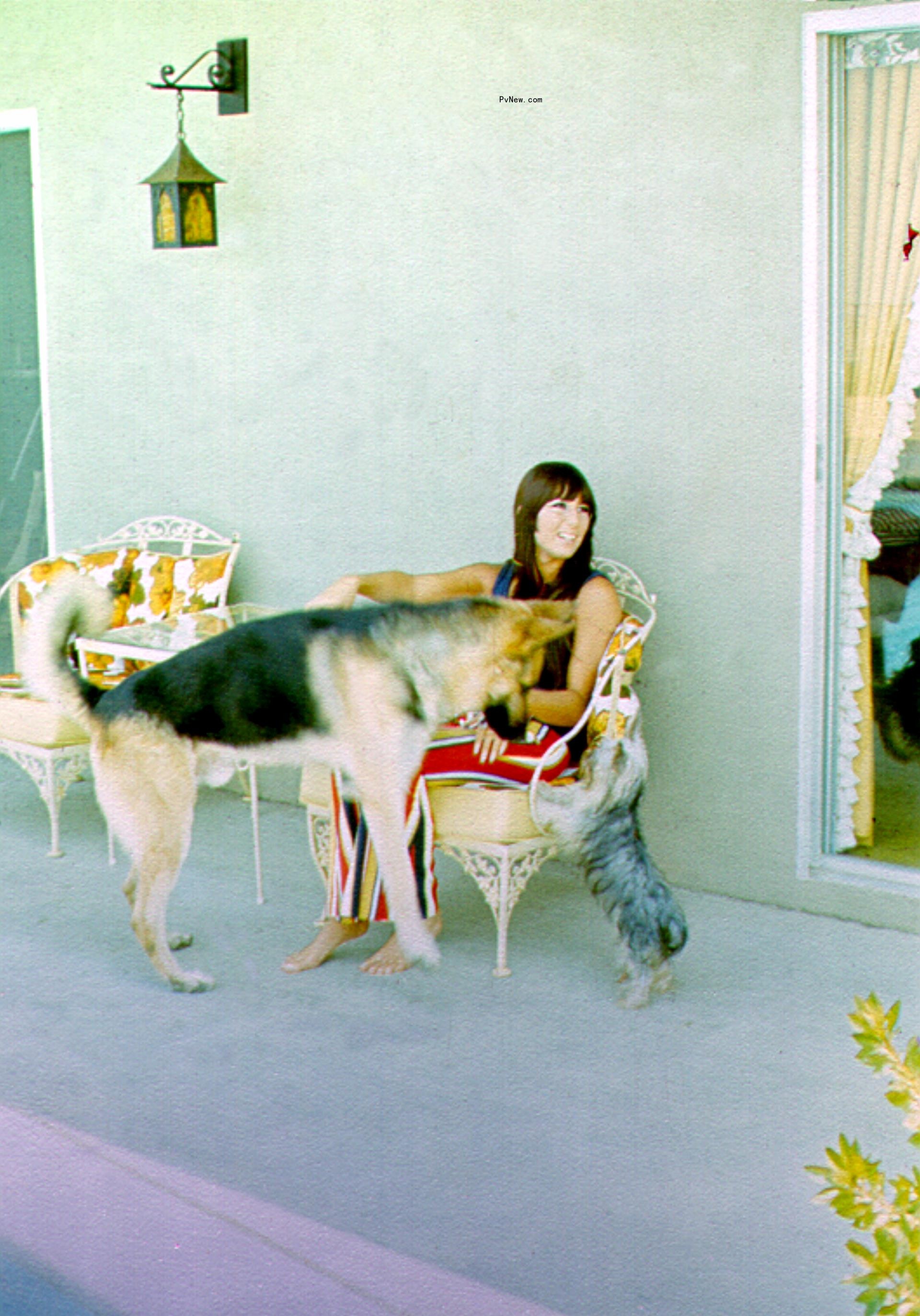 Cher