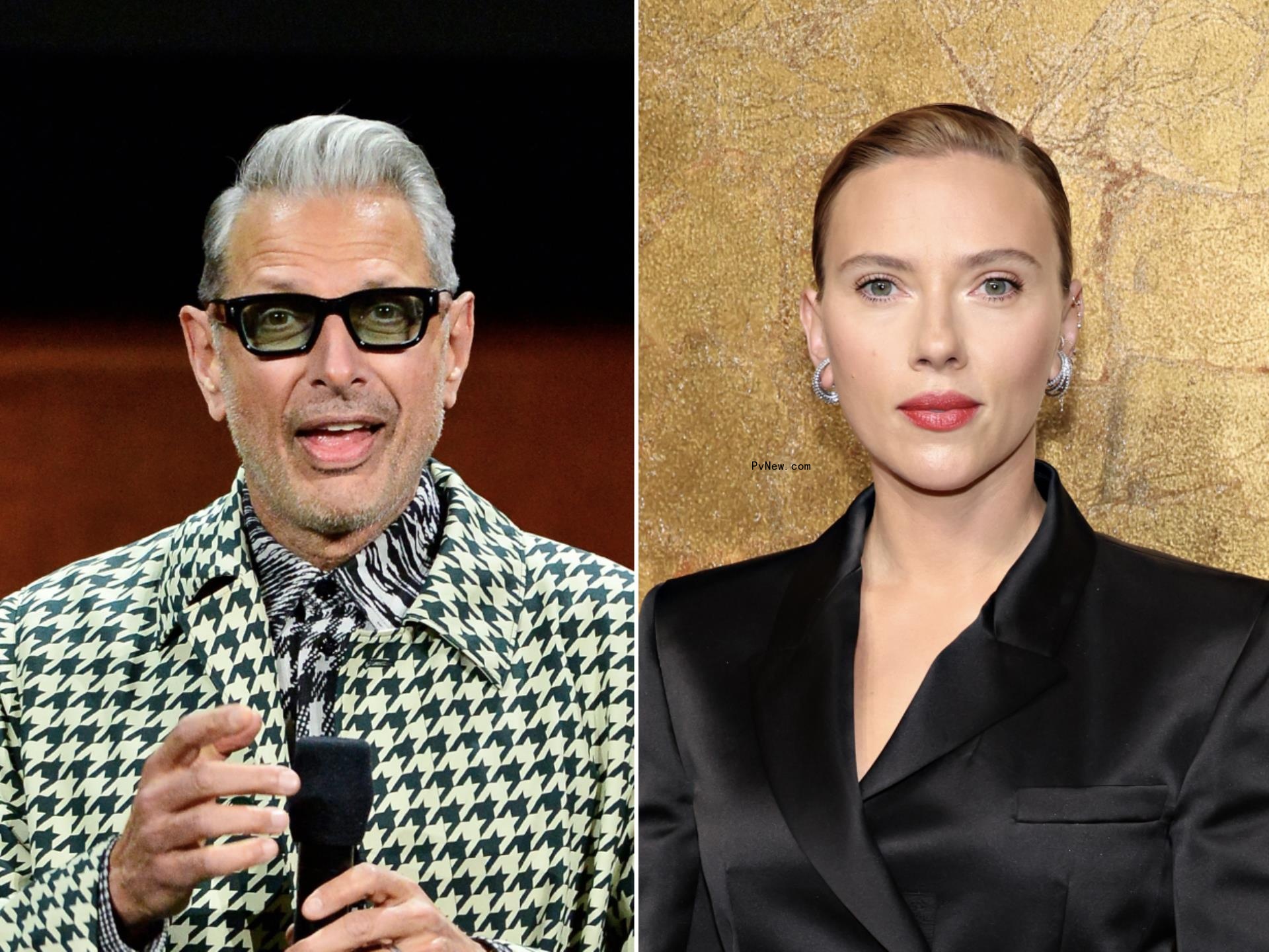 Jeff Goldblum Surprises Scarlett Johansson With Video Message Welcoming Her Into the ‘Jurassic’ Family: ‘Don’t Get Eaten! Unless You Want To’