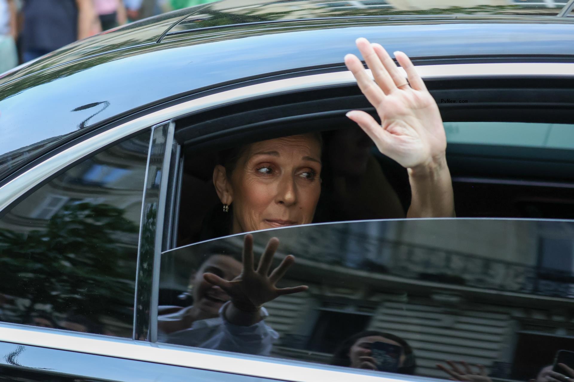Celine Dion waving