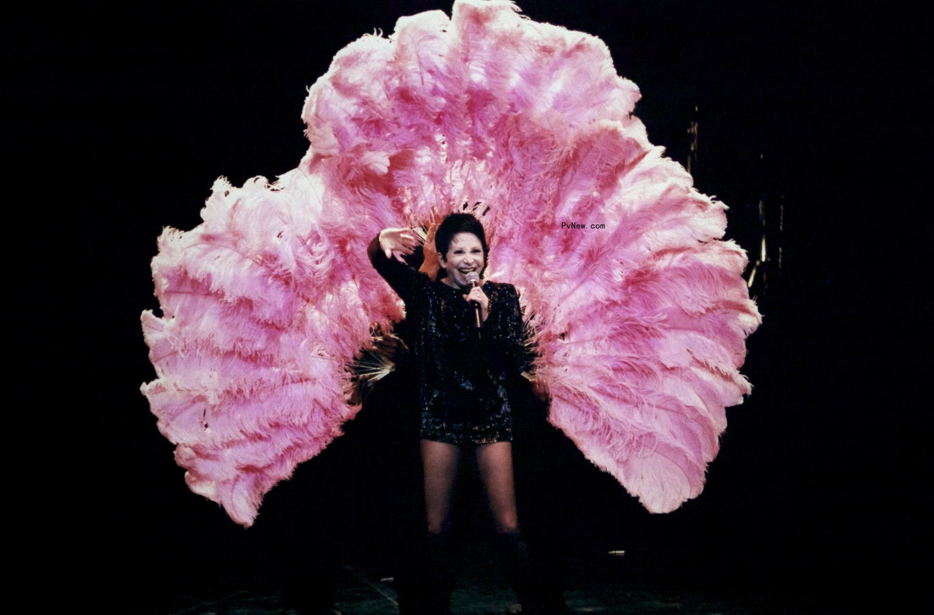 Zizi Jeanmaire performing 