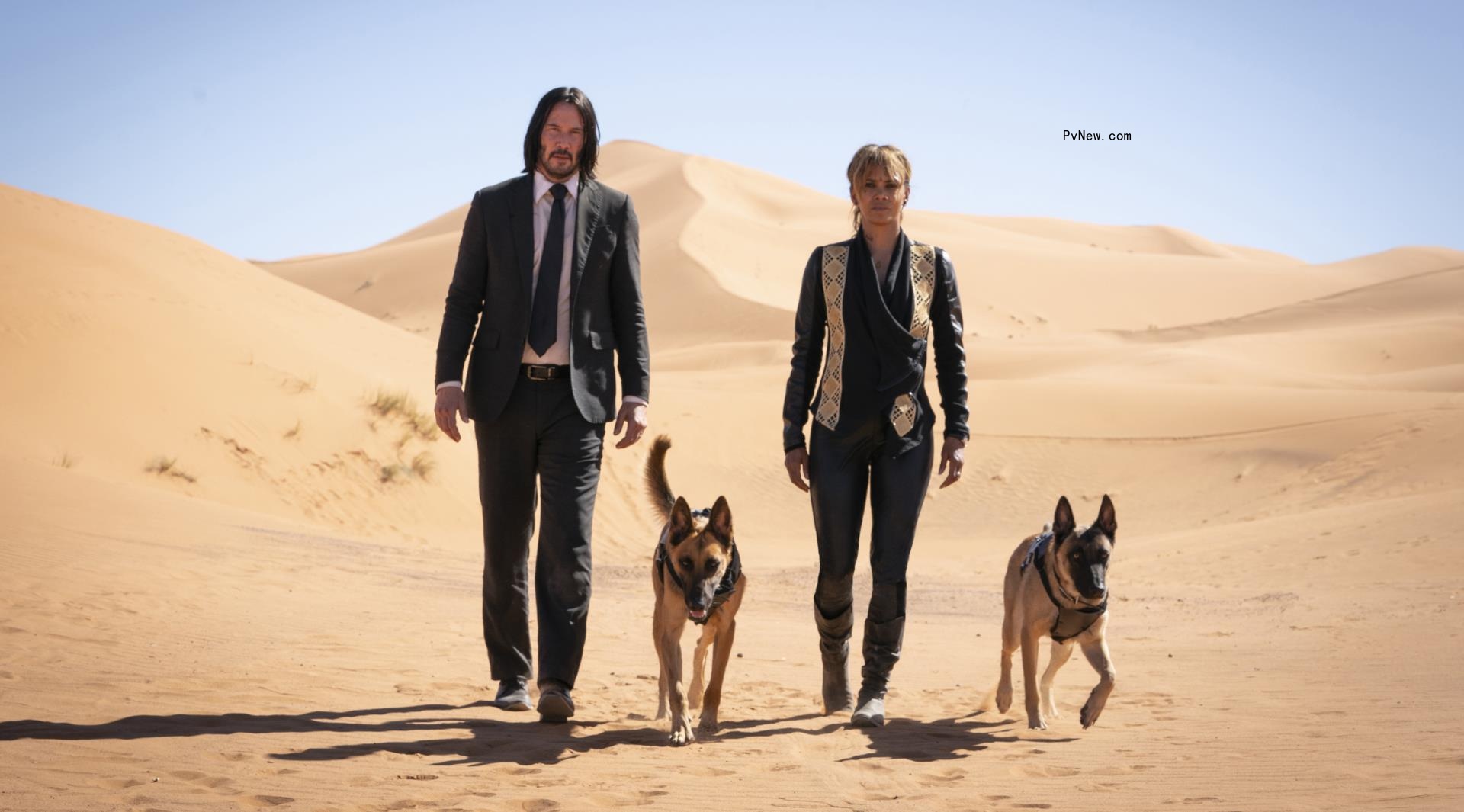 Keanu Reeves and Halle Berry walk through desert dunes with two German shepherds in a still from