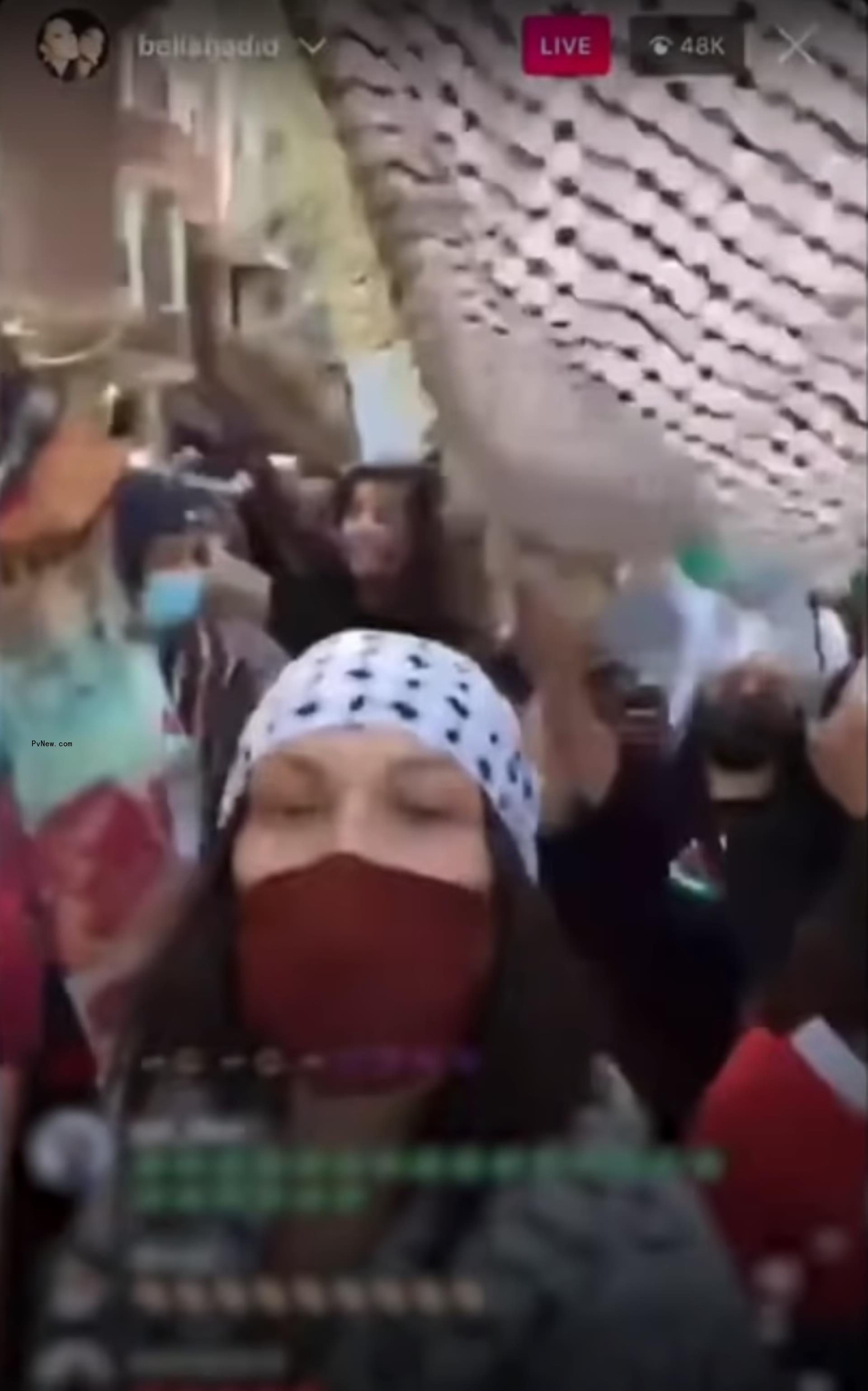 Bella Hadid shows support during a  Pro-Palestine rally.