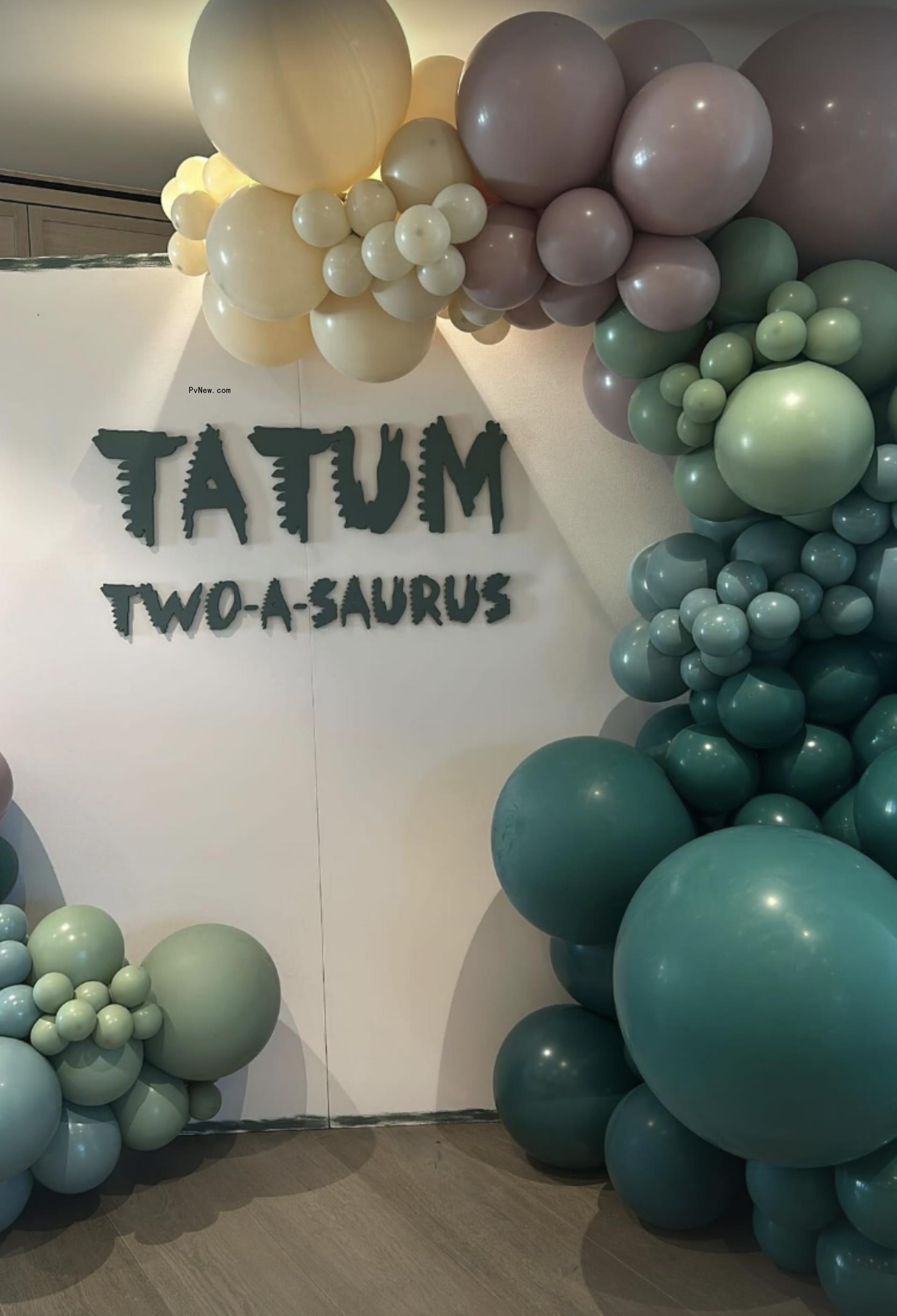 Tatum Thompson's dinosaur party.
