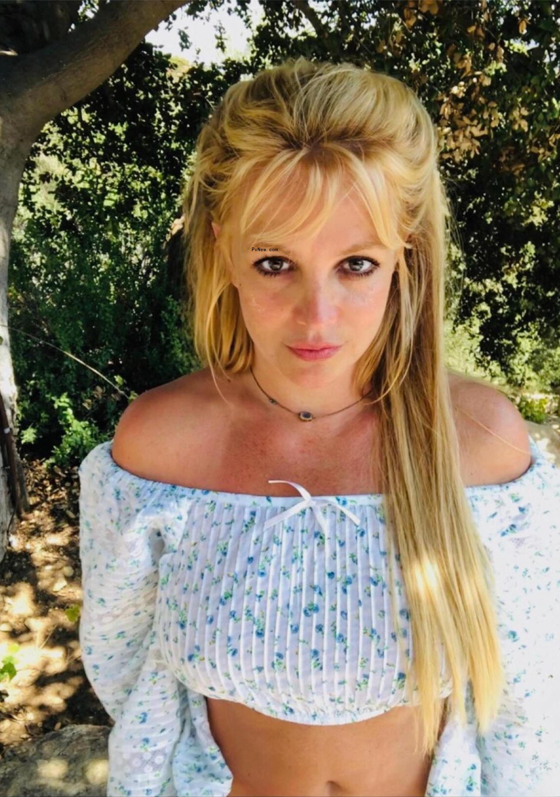 Britney Spears posing in a crop top