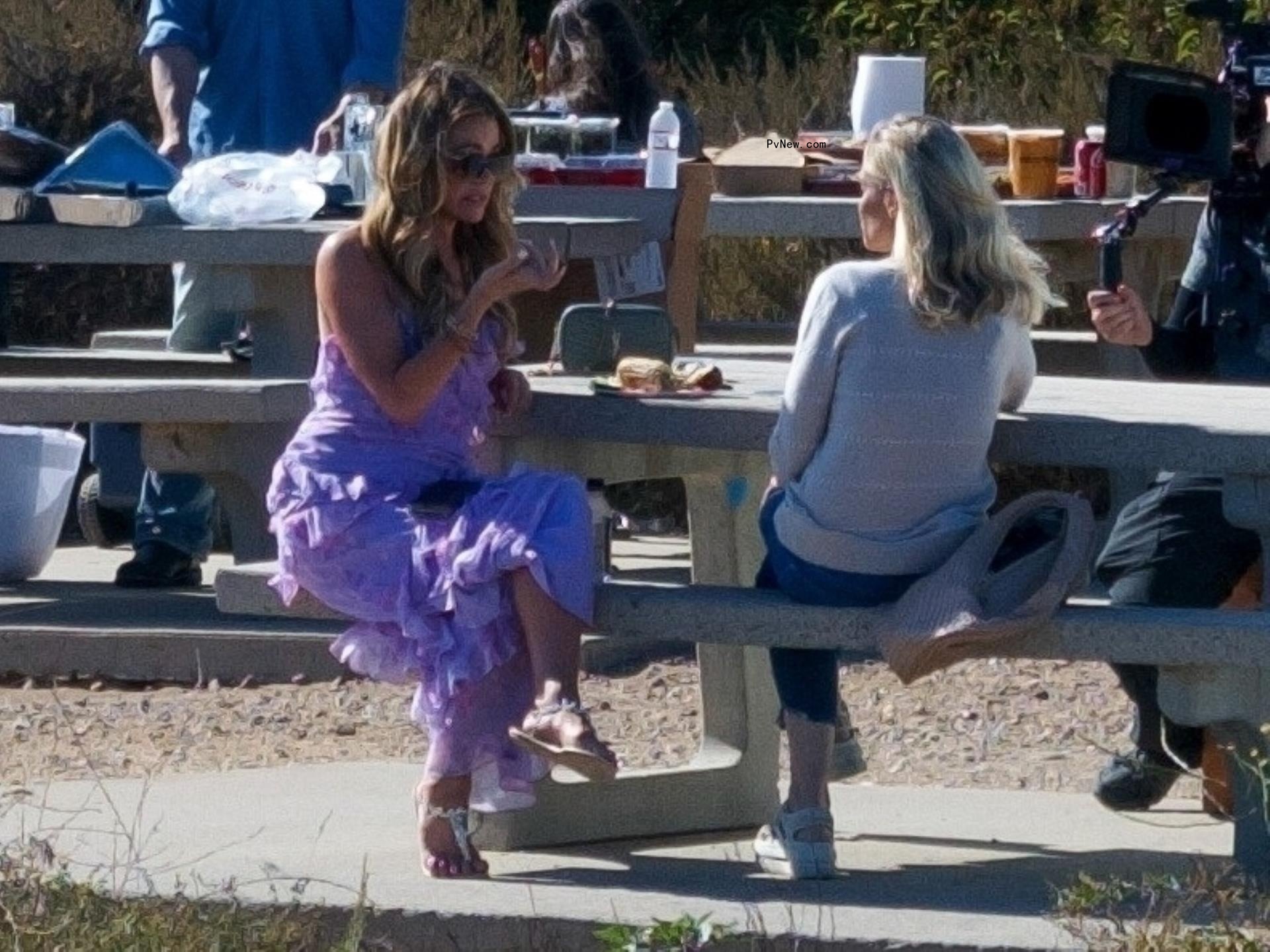 Denise Richards, Brooke Mueller and their families enjoying a picnic in Malibu