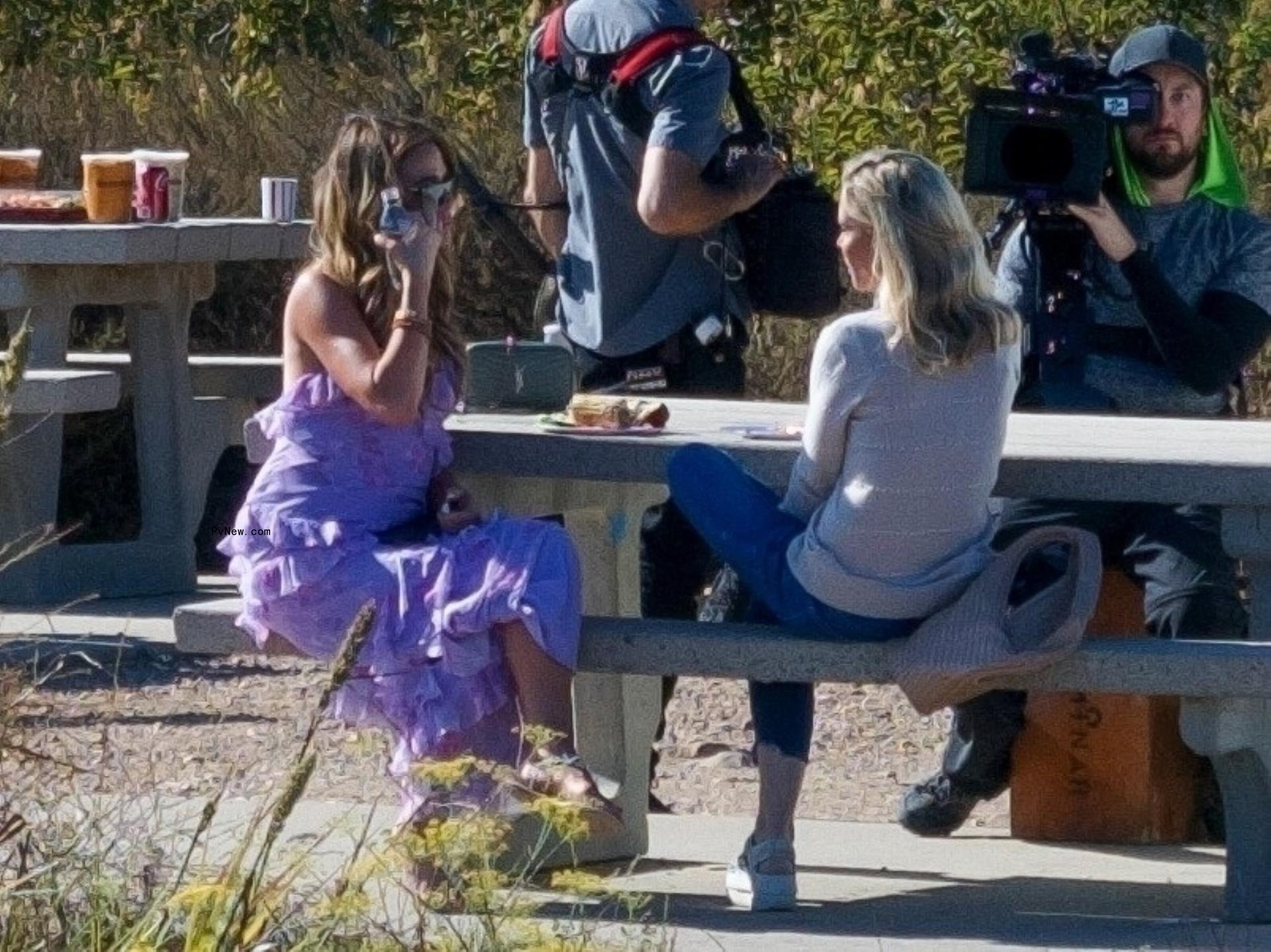 Denise Richards, Brooke Mueller and their families enjoying a picnic in Malibu