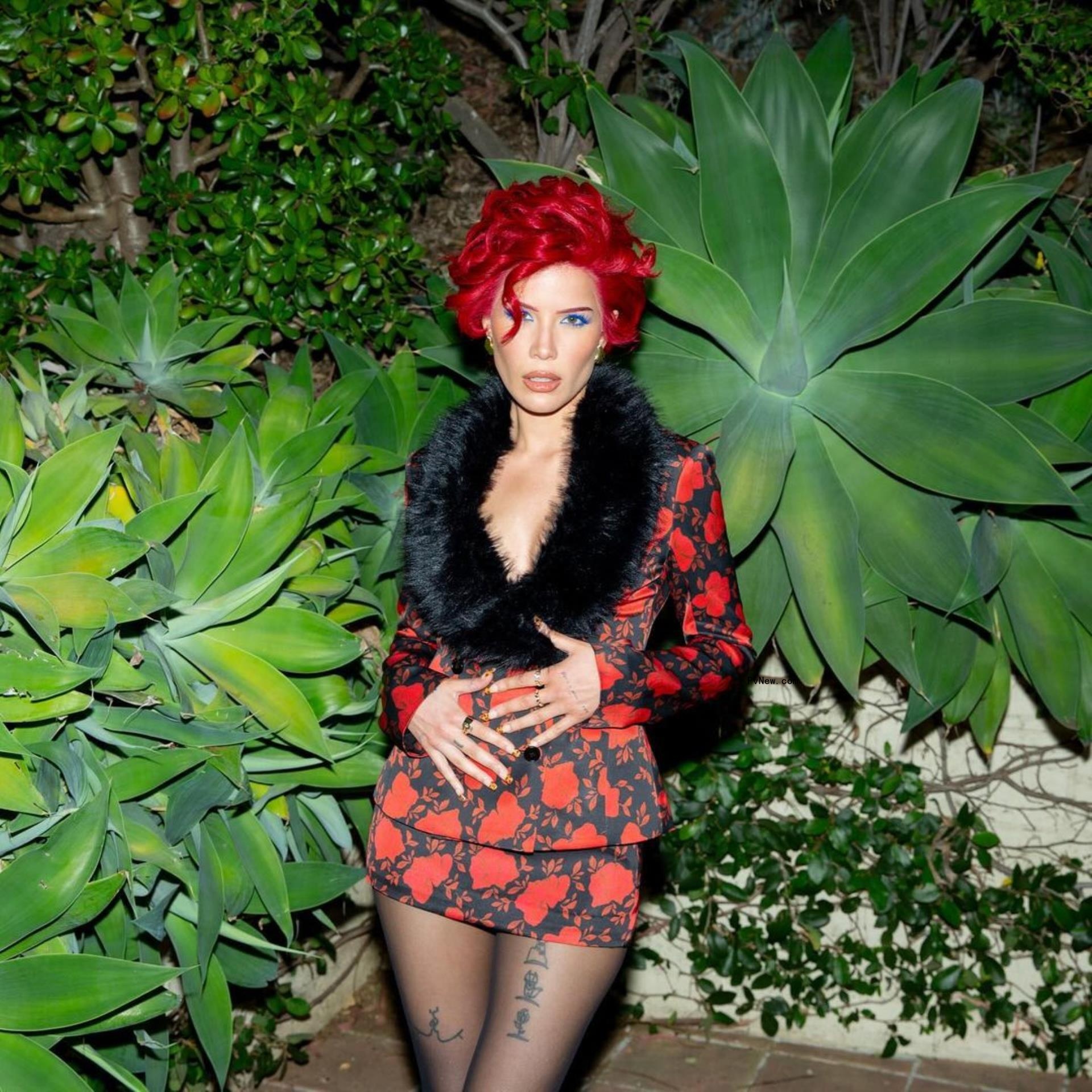 Halsey posing