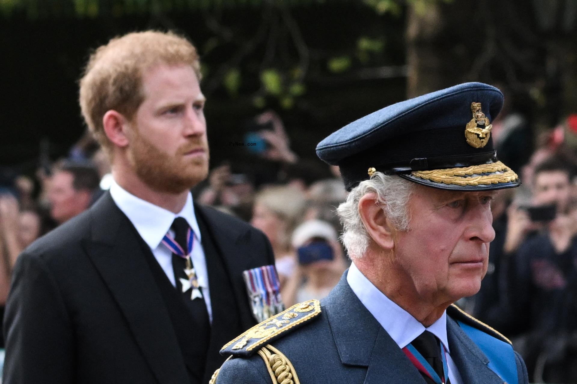 Prince Harry and King Charles III