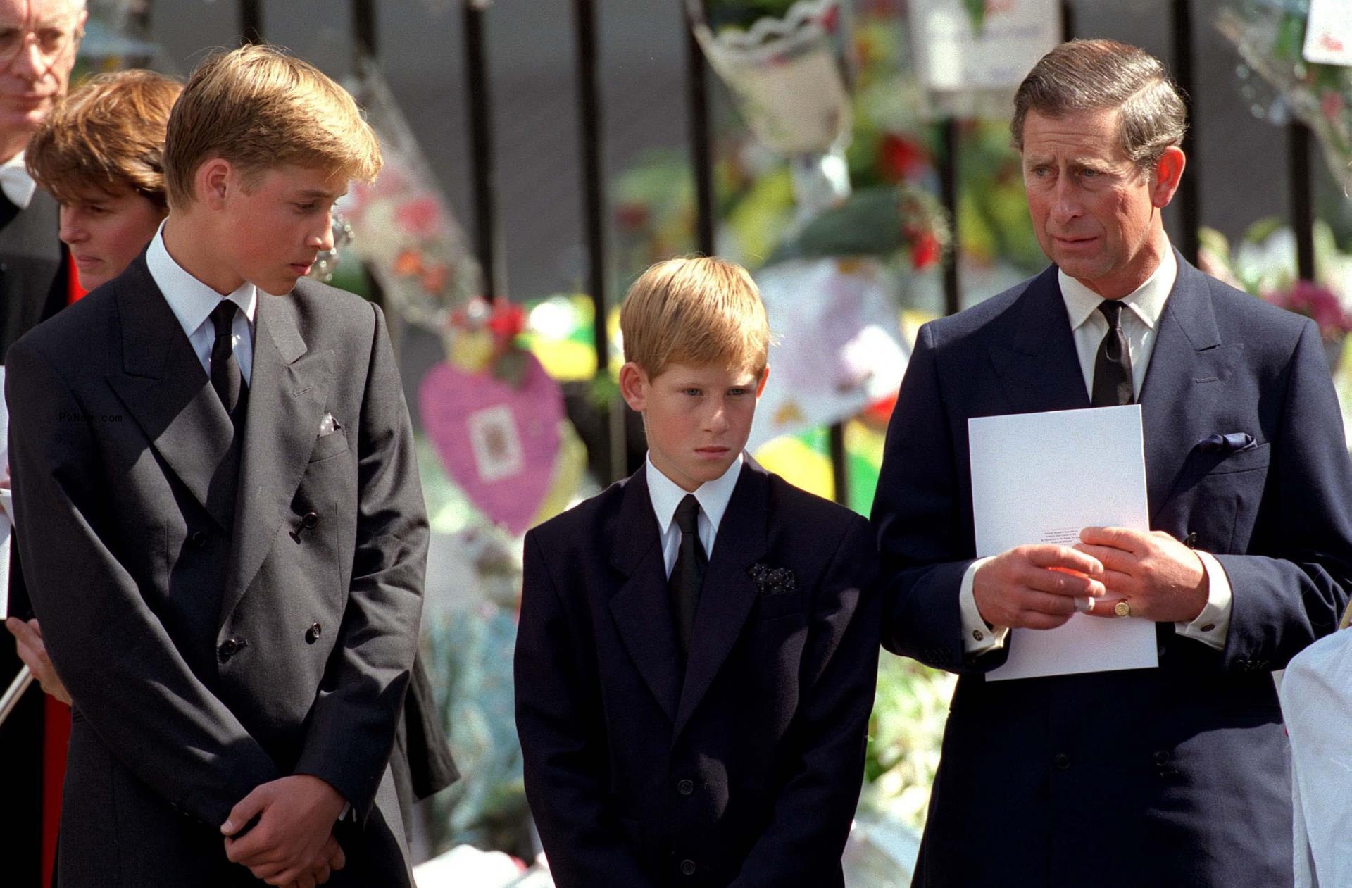 Prince Harry and Prince William and King charles III