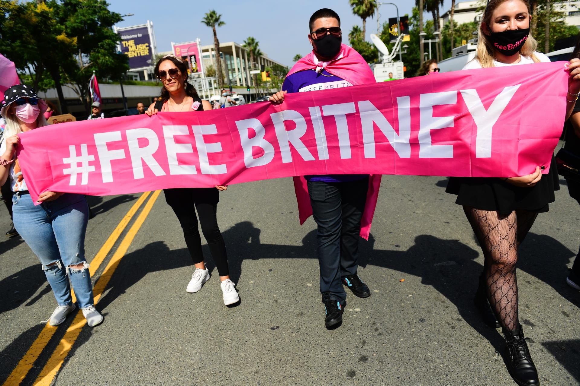 #FreeBritney advocates