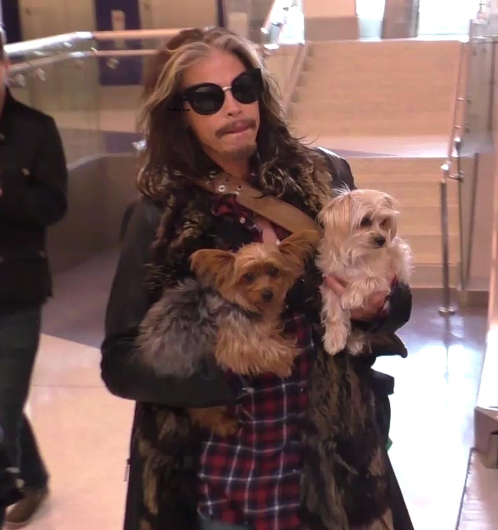 Steven Tyler.