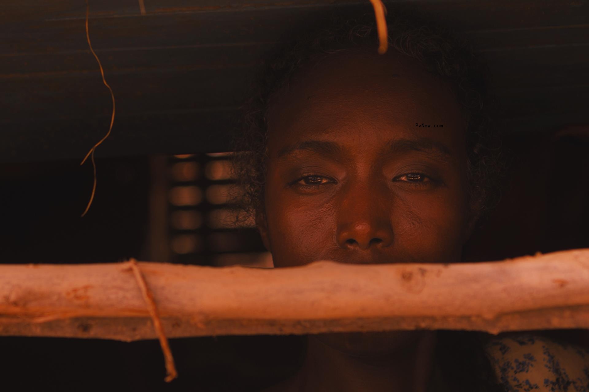 Toro<i></i>nto Film Festival Adds ‘Mother Mother,’ ‘My Fathers’ Daughter,’ ‘On Falling’ to Discovery Lineup