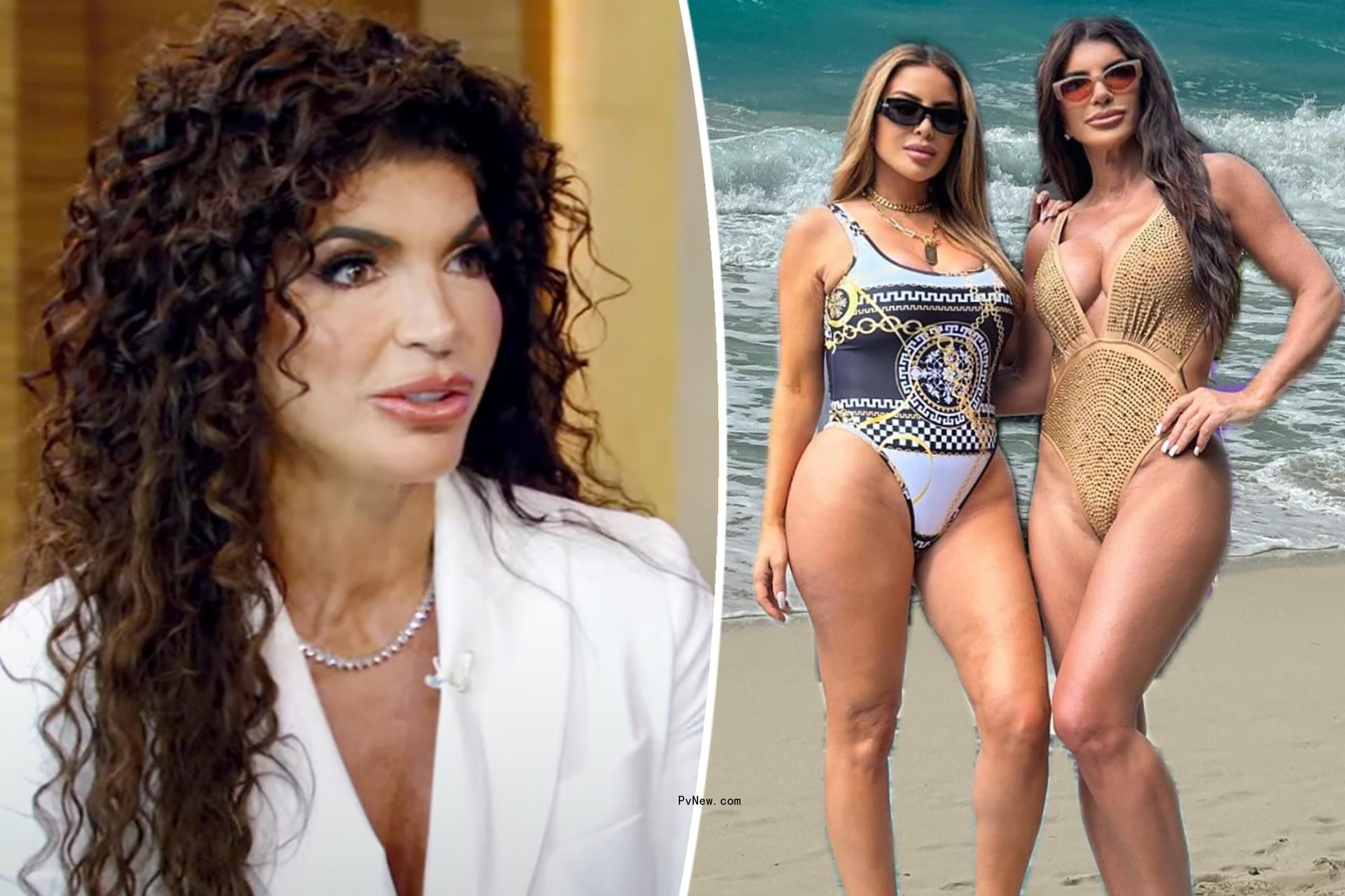 Teresa Giudice split with the edited photo of her and Larsa Pippen.