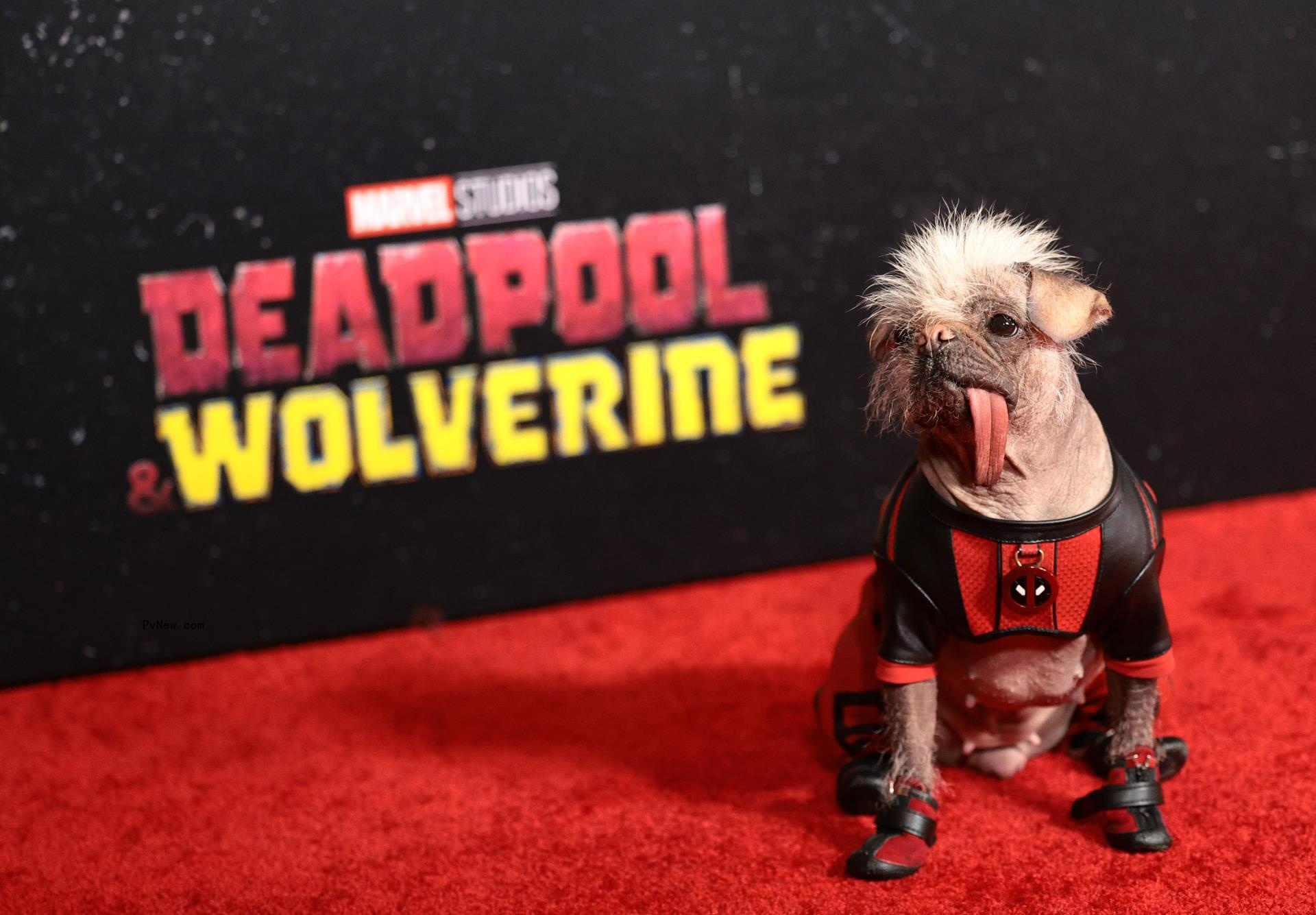 Kevin Feige Explains Why Marvel Spoiled Dafne Keen’s X-23 Return in Final ‘Deadpool & Wolverine’ Trailer