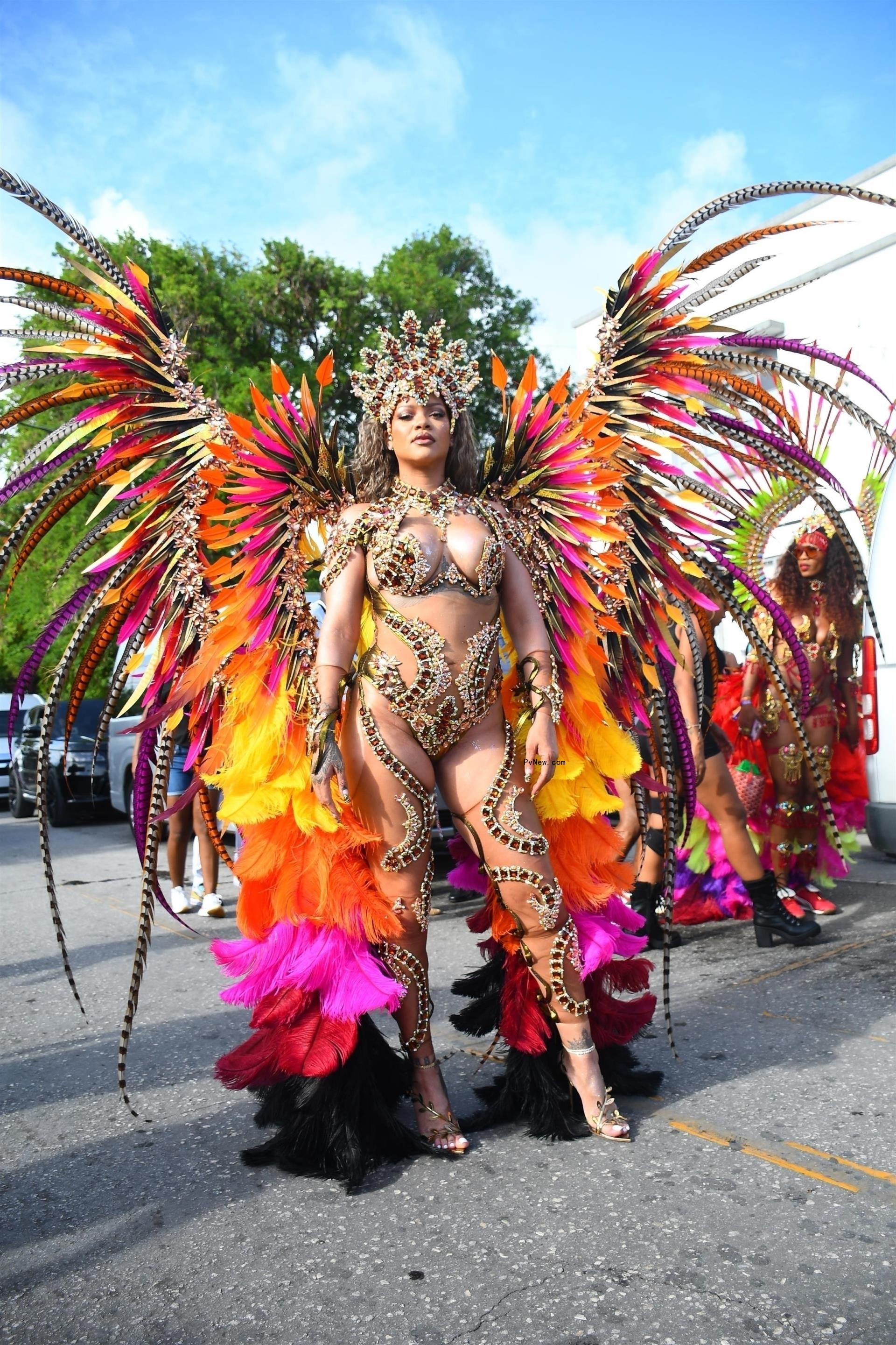 Rihanna at the 2024 Crop Over Festival.