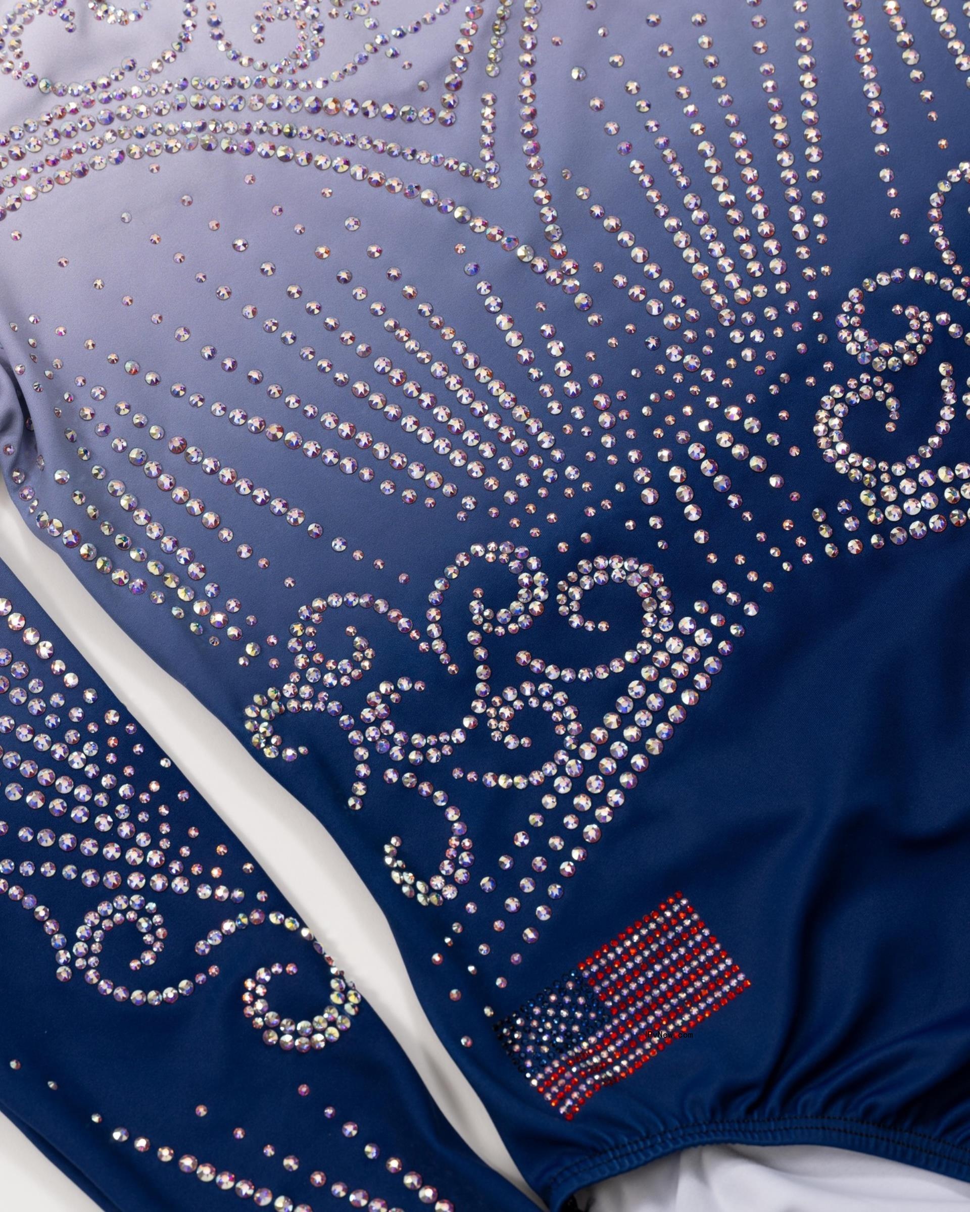 Simone Biles leotard at the 2024 Olympics artistic gymnastics finals