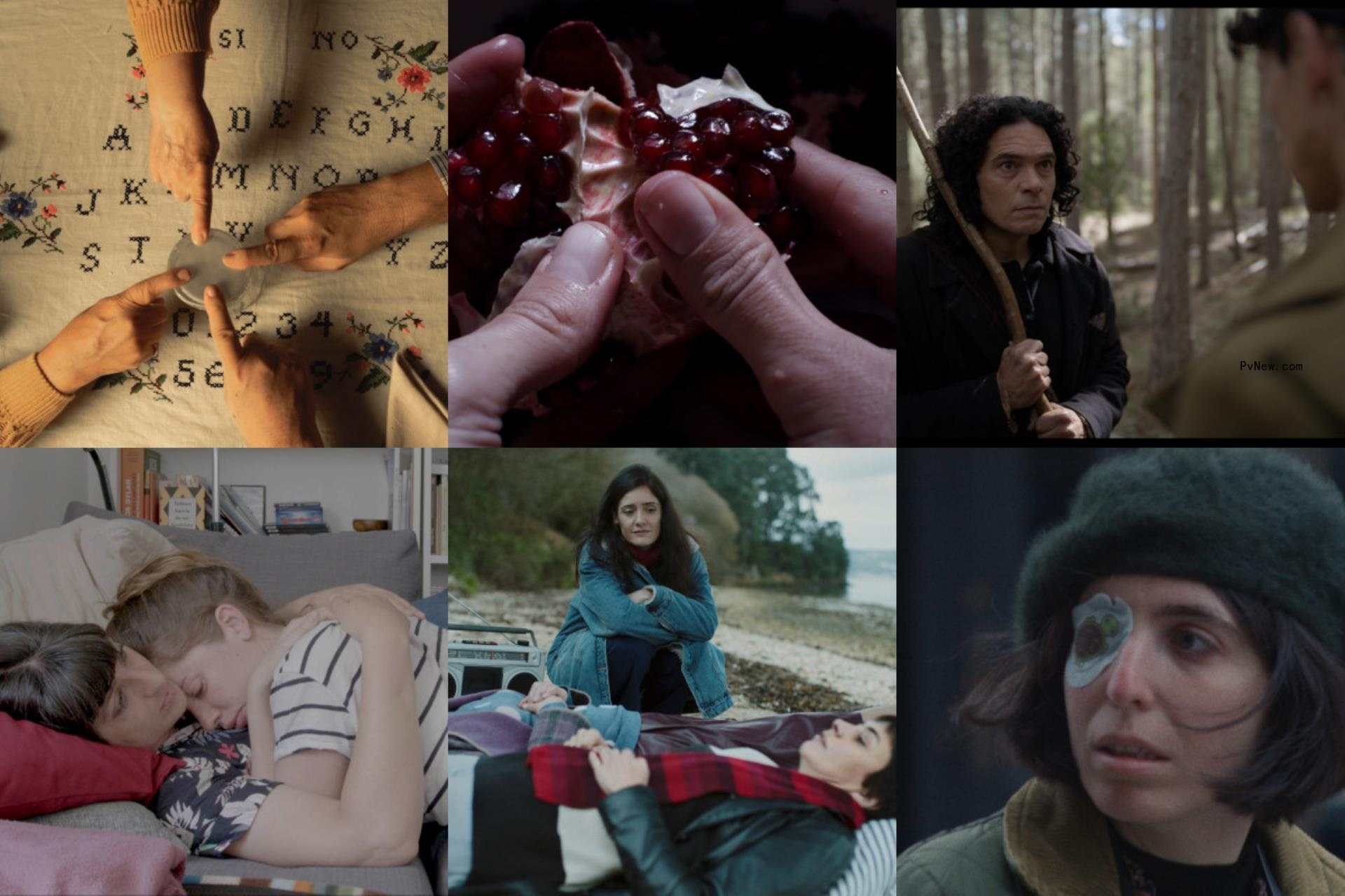 Locarno First Look Lineup: Six Spanish Features Unveiled for Swiss Fest’s Work-in-Progress Sidebar