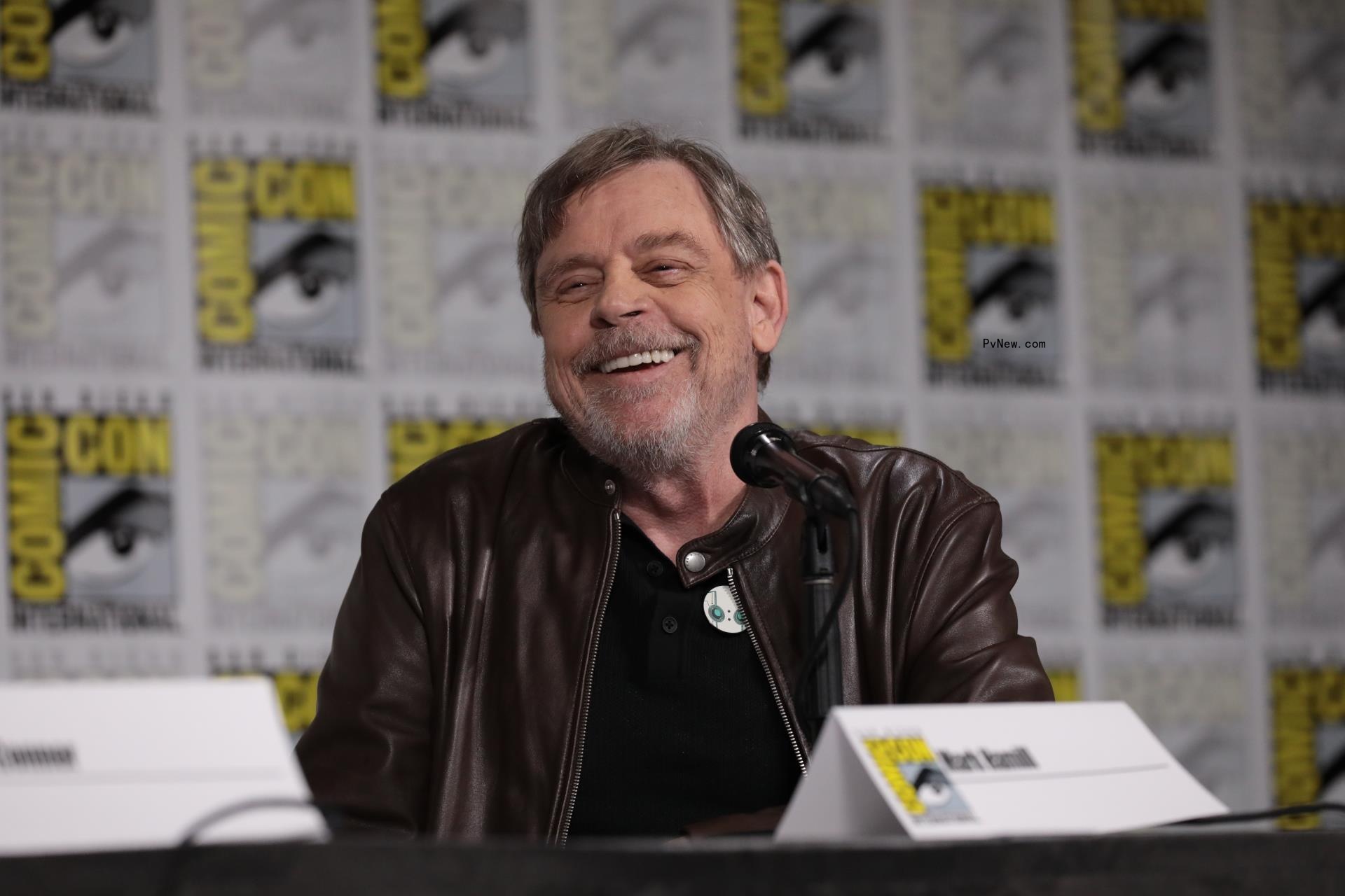 Mark Hamill Makes Surprise Appearance During ‘The Wild Robot’ Comic-Con Panel