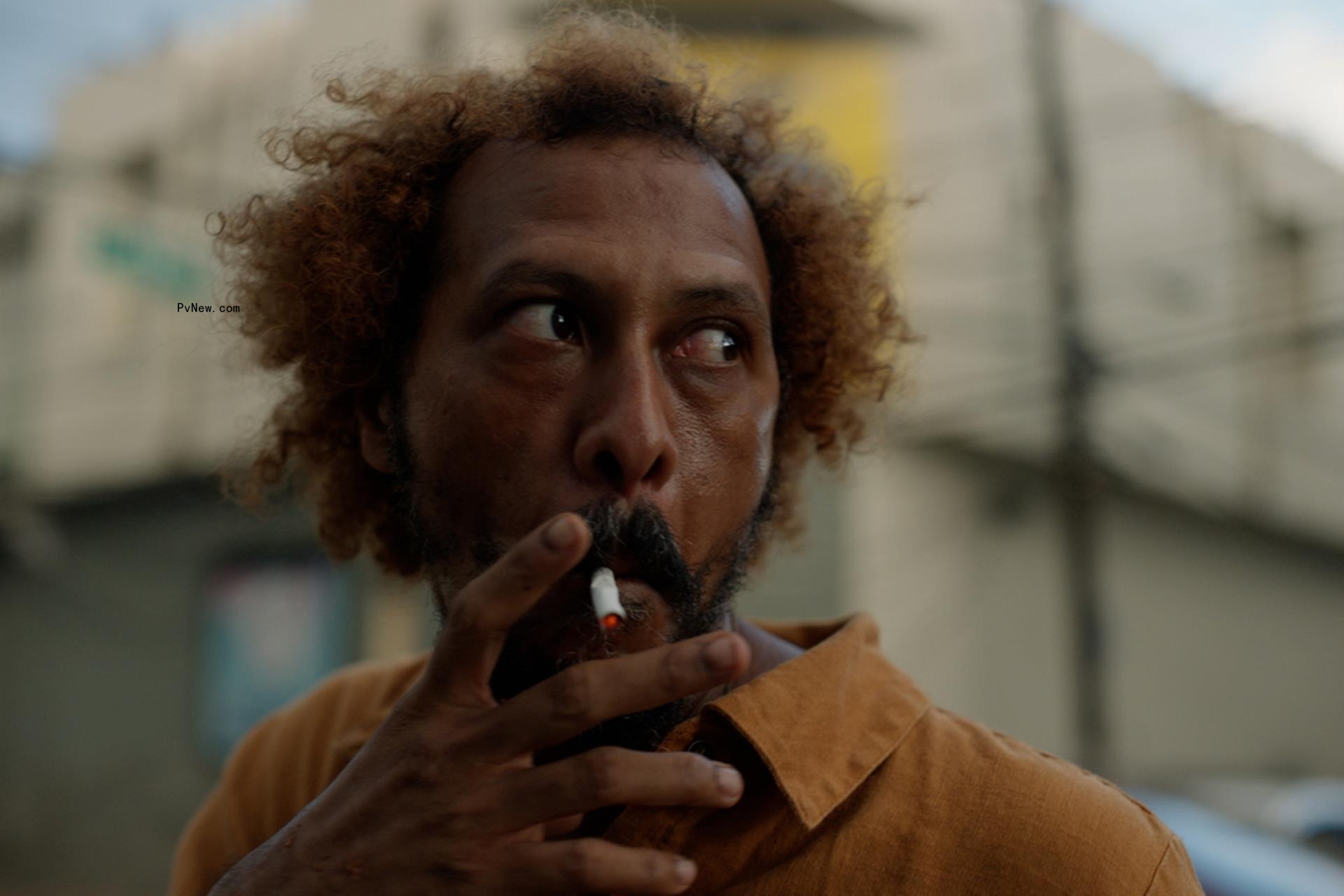Locarno’s Open Doors: New Films from Paz Encina, Rosa Maria Rodriguez as a Revolution Co<i></i>ntinues in Next Generation Latin American Filmmaking