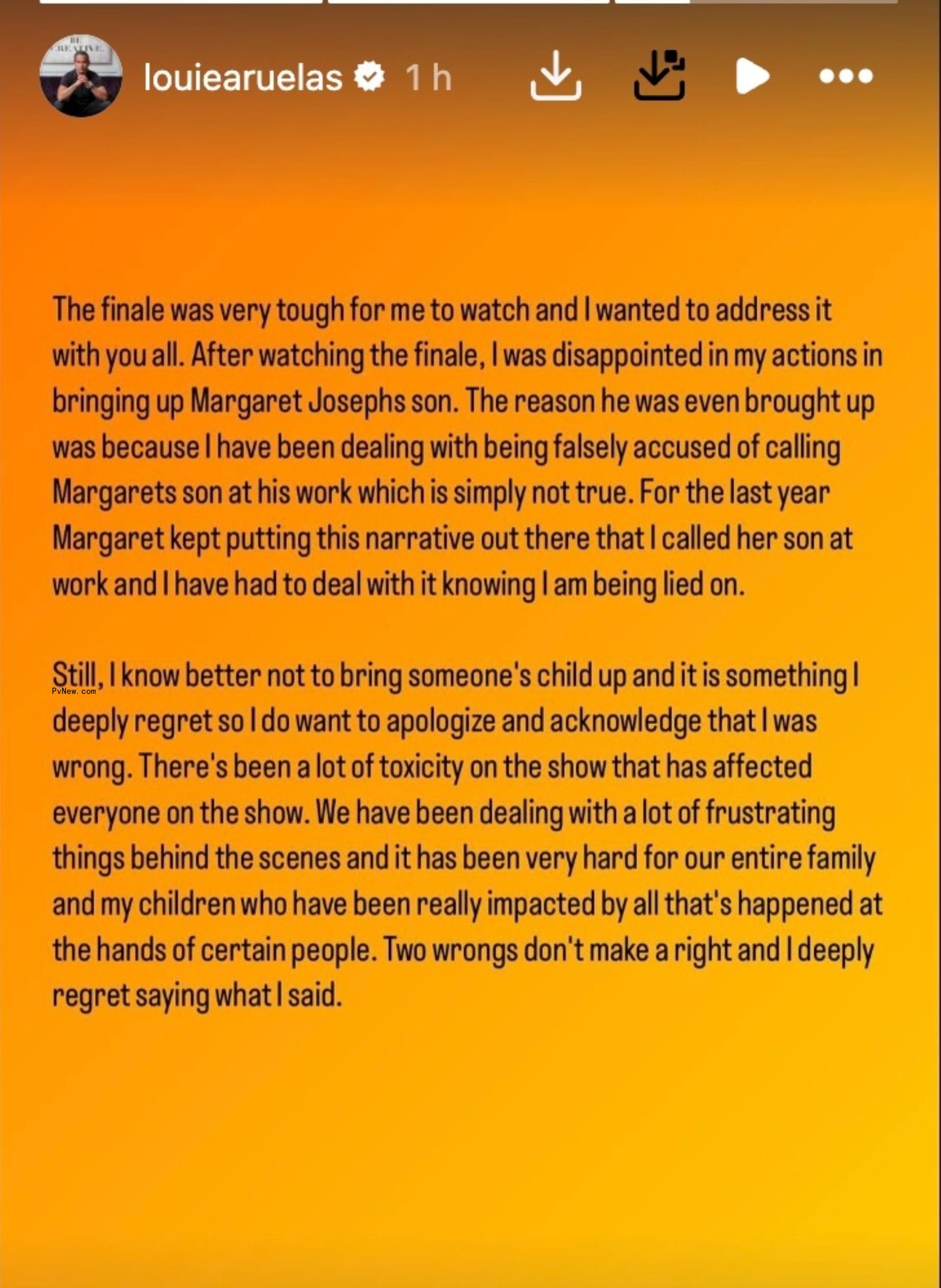 A screenshot of Luis Ruelas' Instagram Story apology statement