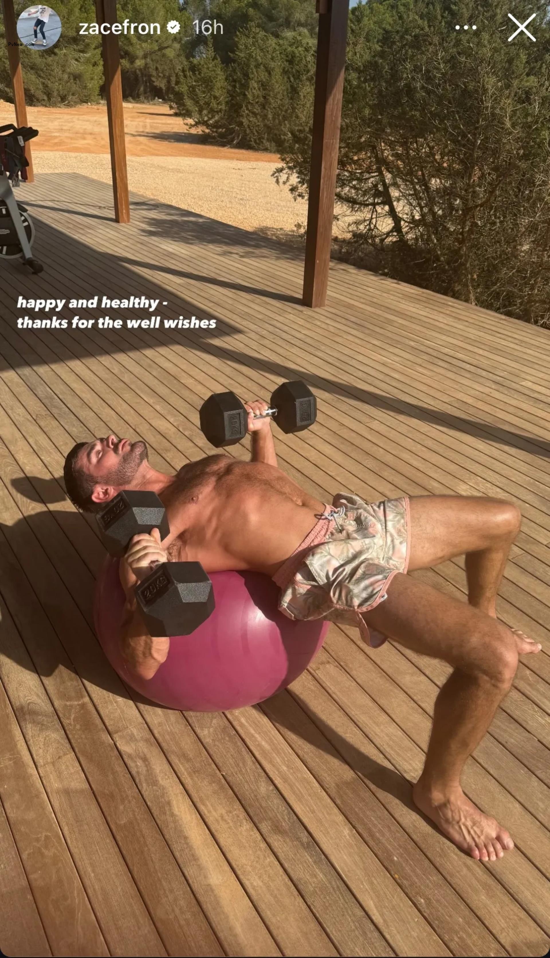 Zac Efron working out.
