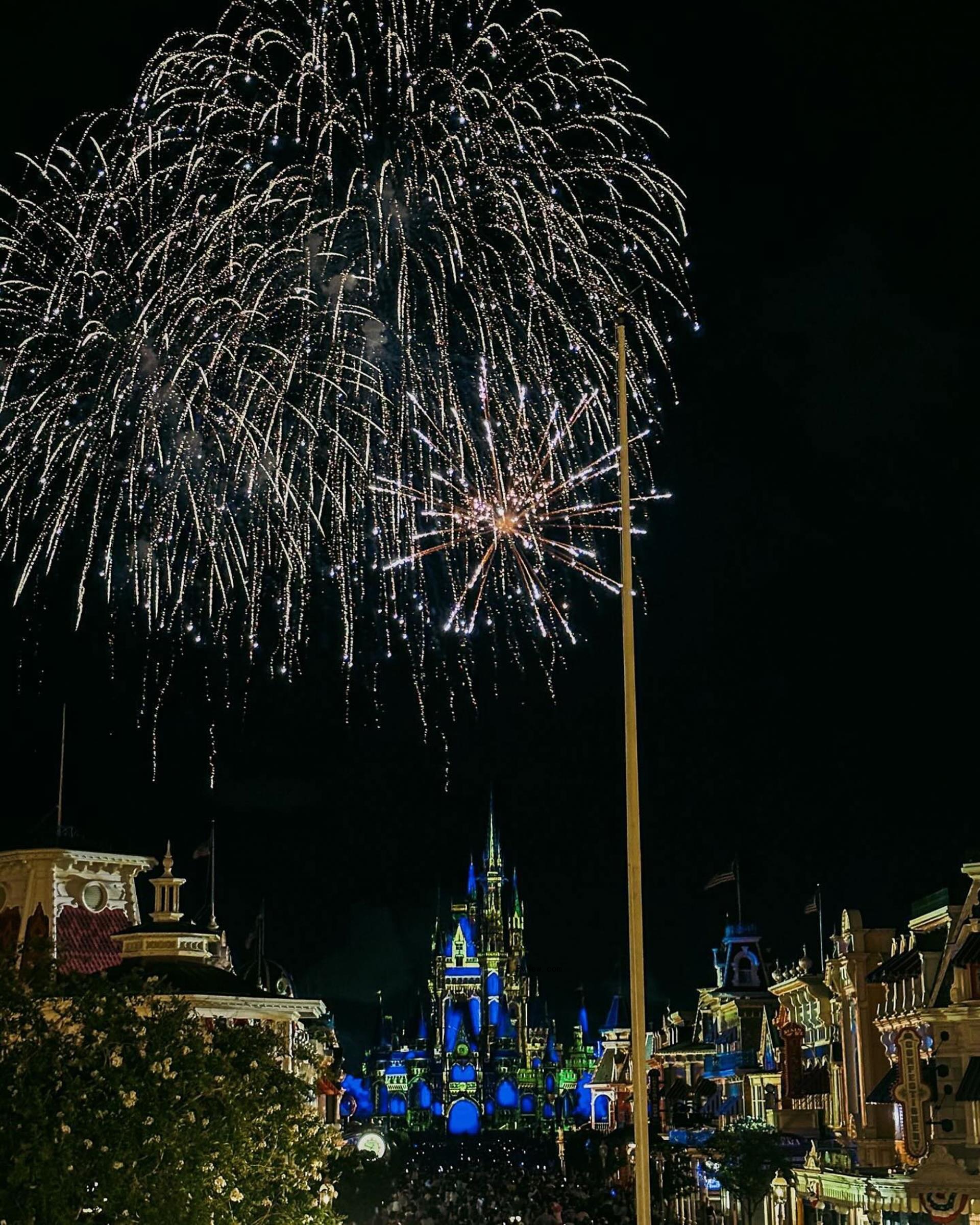 Disneyland