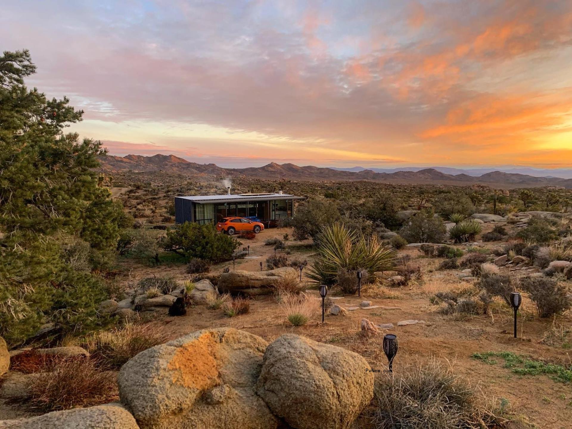 A sunset over Joshua Tree