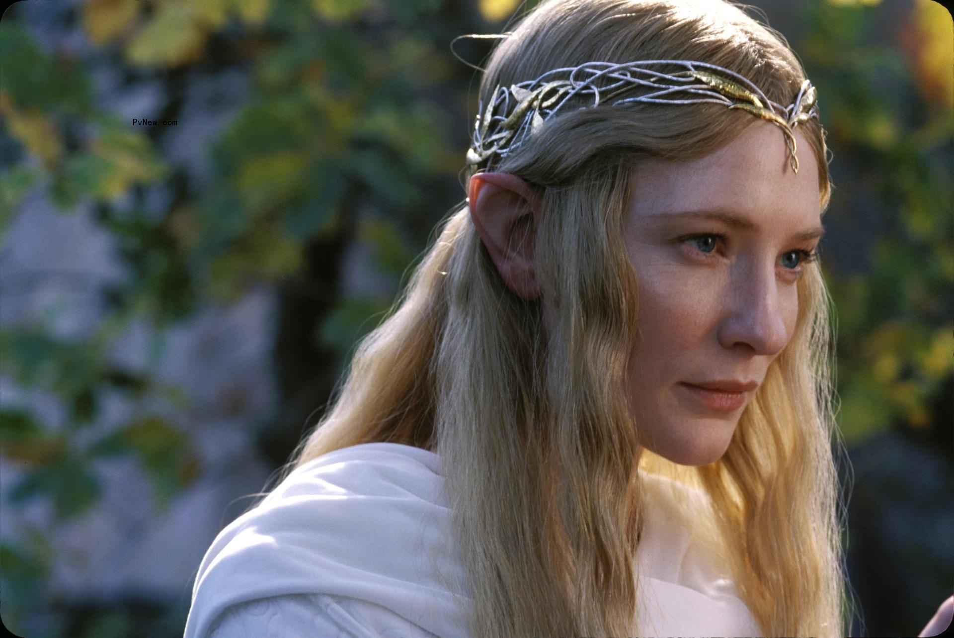 Cate Blanchett Says ‘No One Got Paid Anything’ to Film ‘Lord of the Rings’: ‘I Basically Got Free Sandwiches’