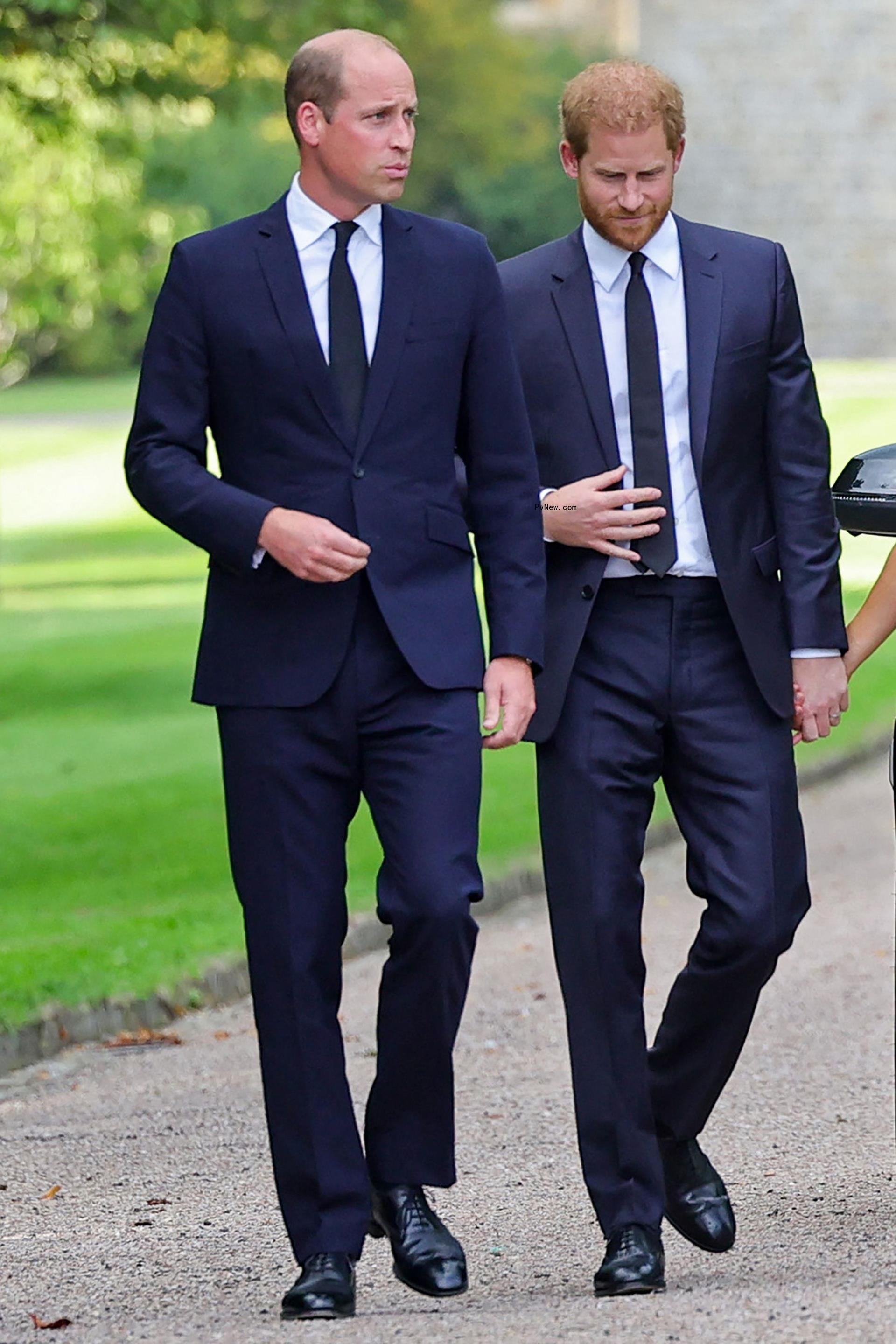 Prince William and Prince Harry in 2022
