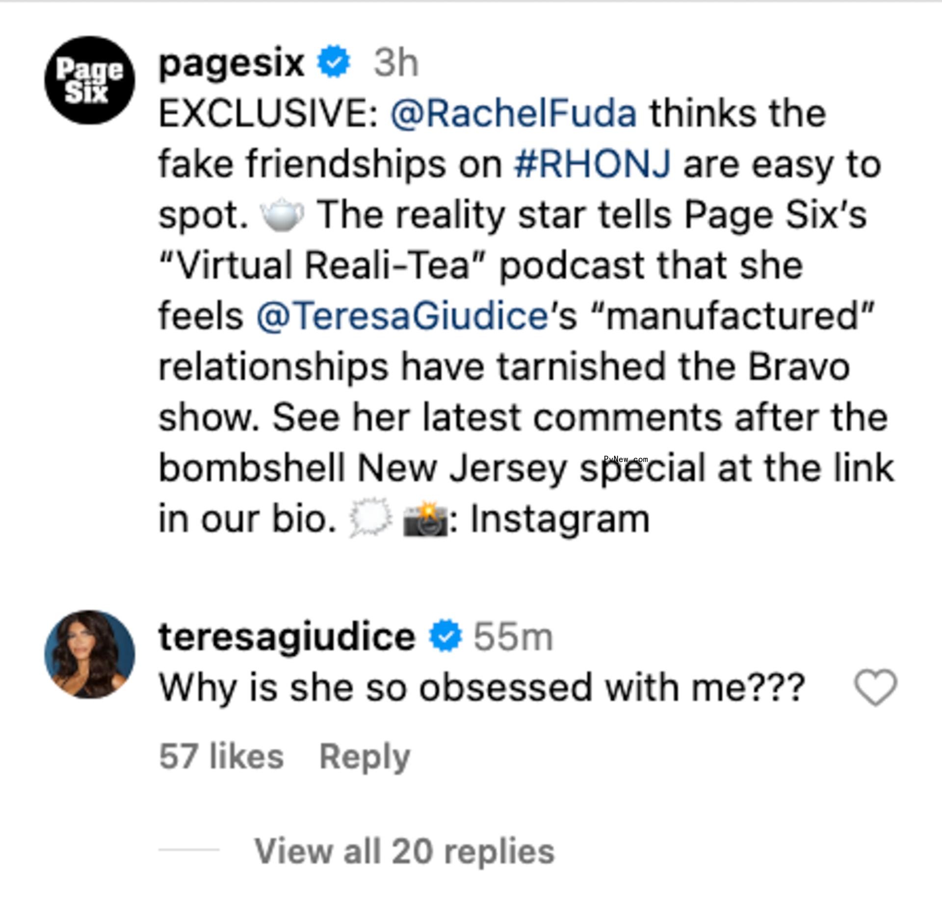 Teresa Giudice's comment on Pvnew's Instagram post