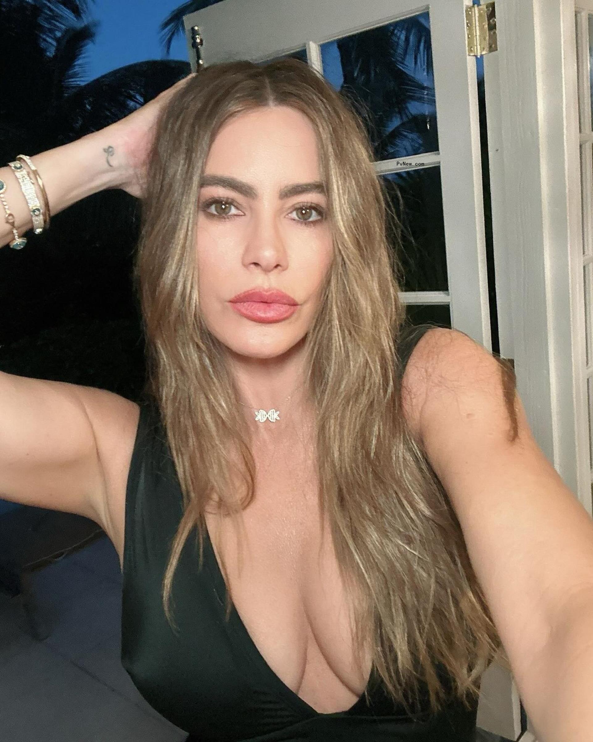 Sofia Vergara posing for a selfie