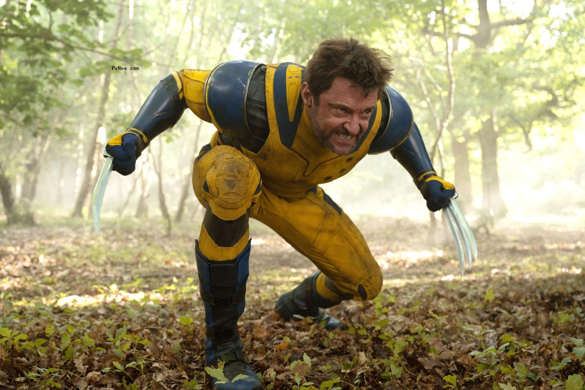 ‘Logan’ Co-Writer Says ‘People Warned Me’ a<i></i>bout ‘Deadpool & Wolverine’ Screwing Up His Film’s Ending, but the Movie Was a ‘Huge Compliment’ Instead