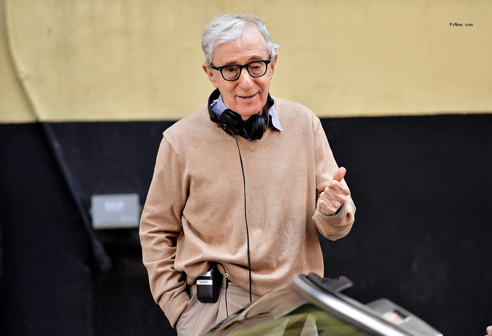 Woody Allen in 2017