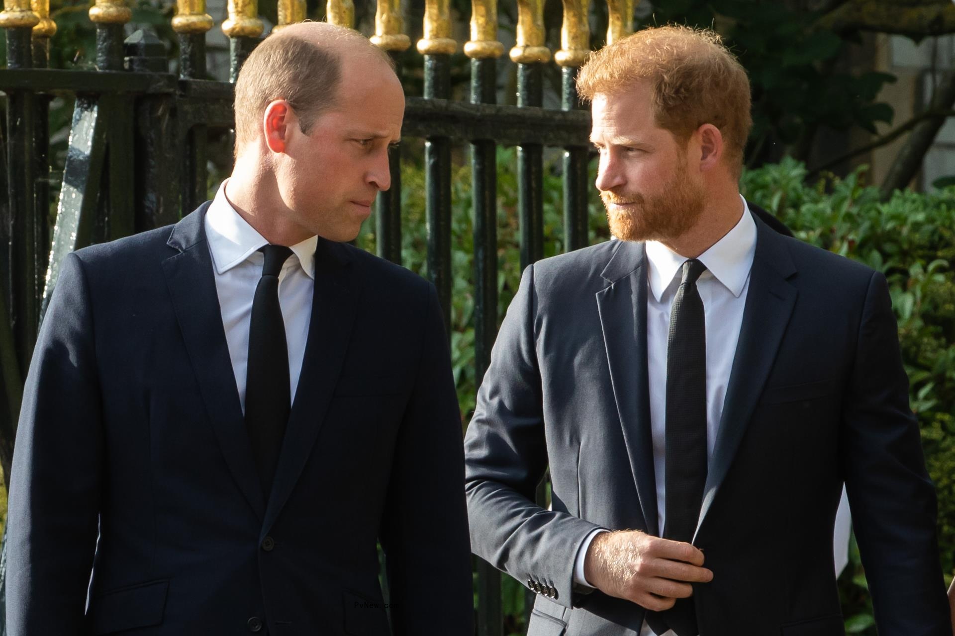 Prince Harry and Prince William