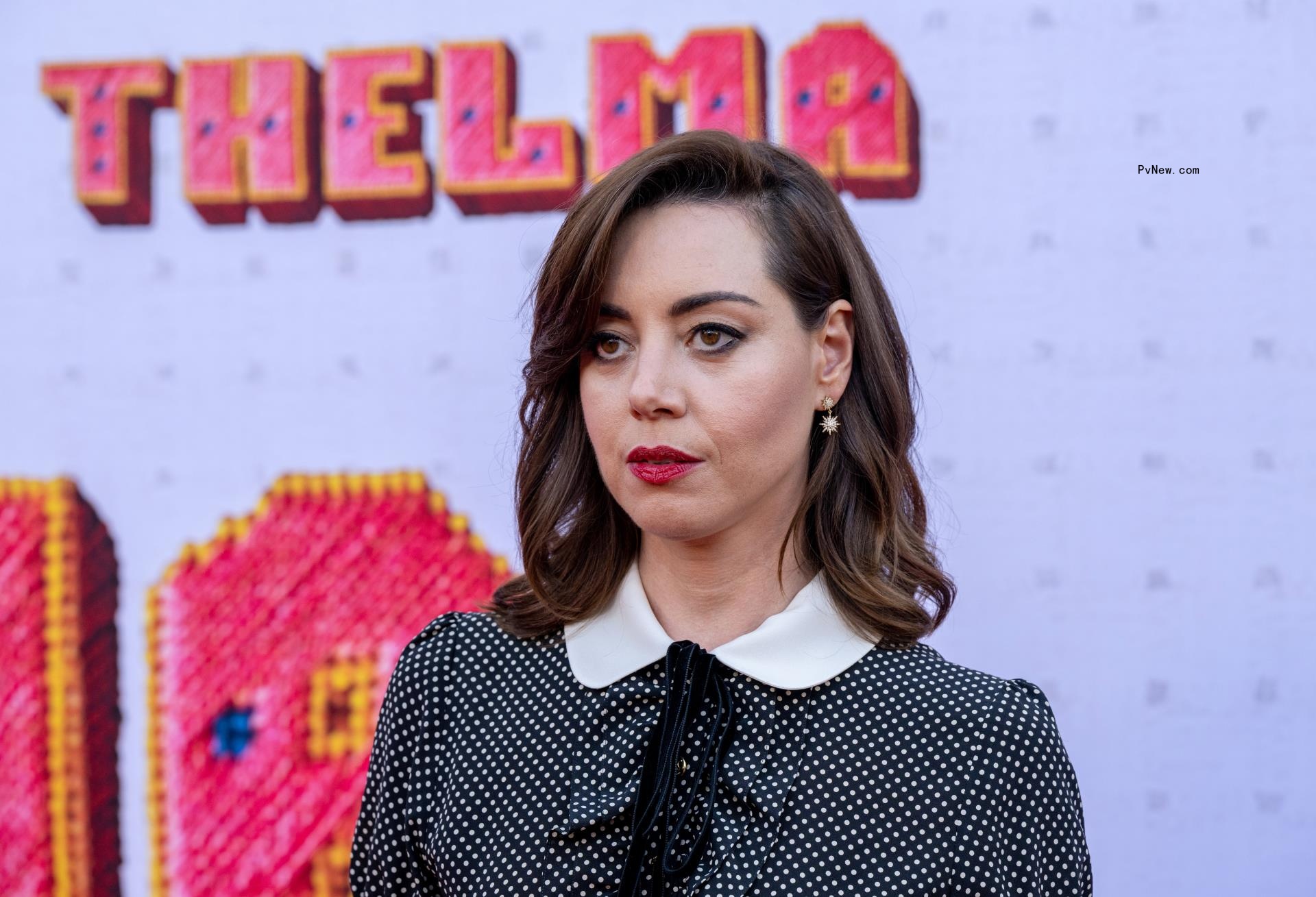 Actress Aubrey Plaza attends the Los Angeles Premiere of 