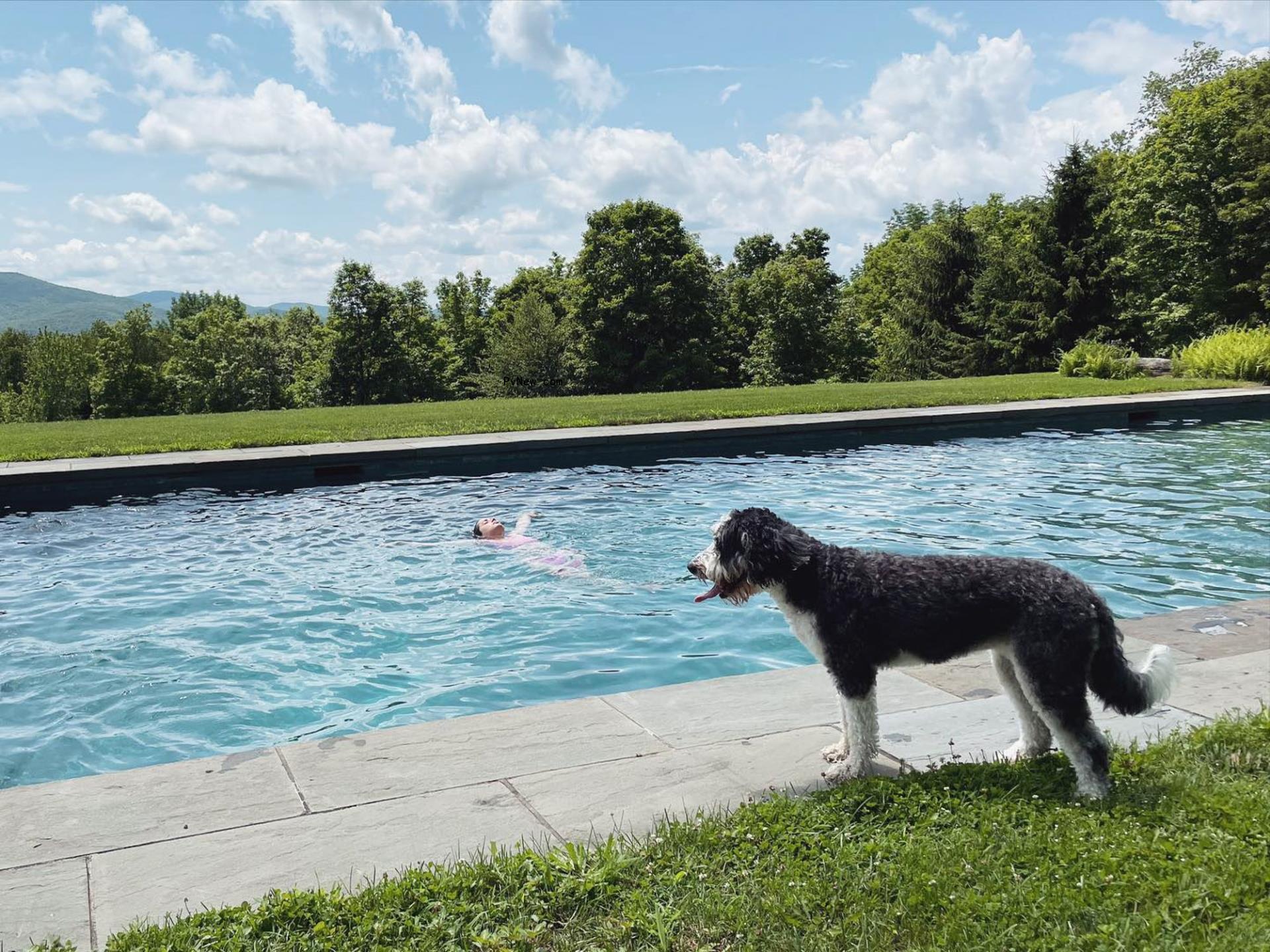 Ana de Armas in Vermont.