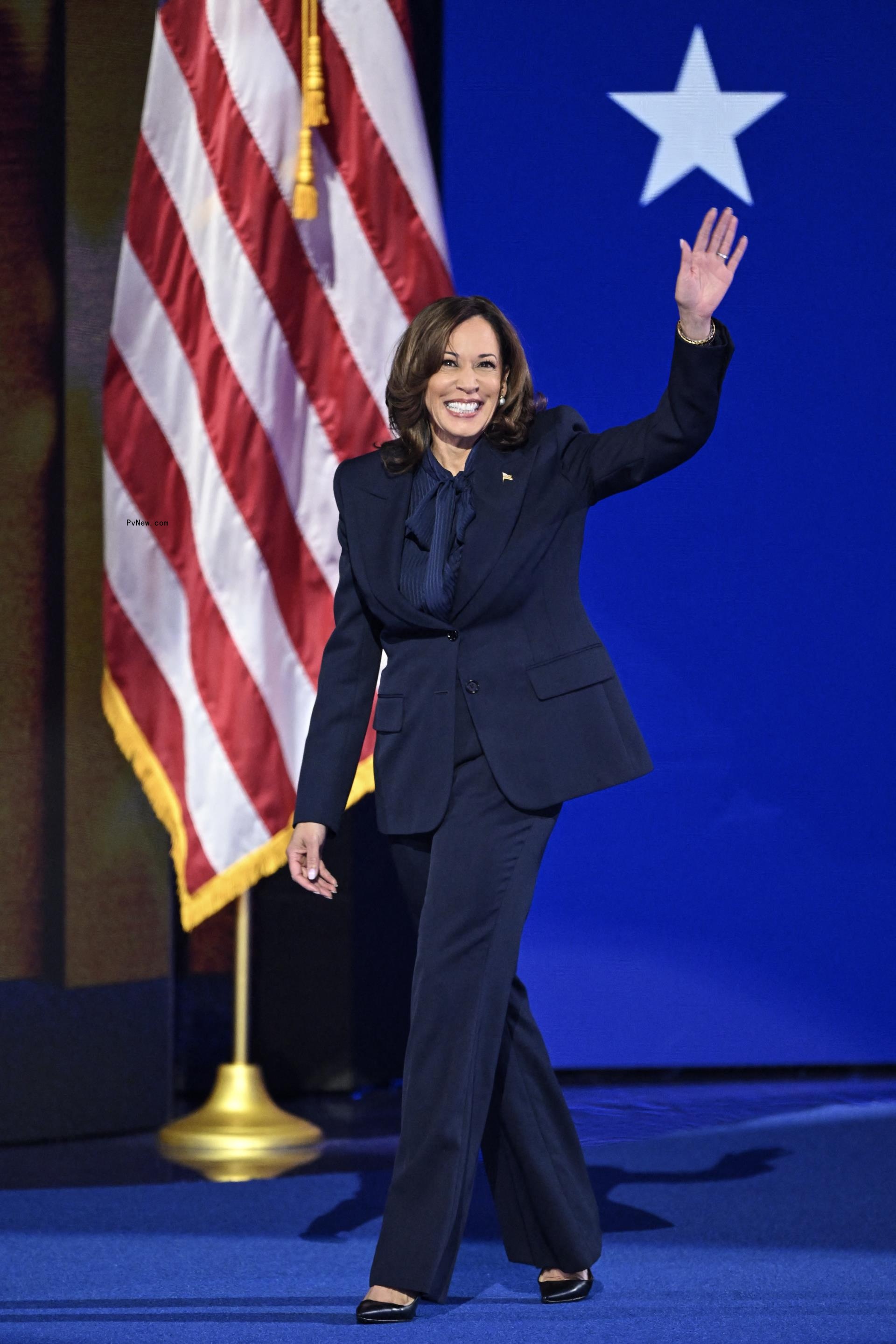 Kamala Harris at the 2024 DNC.