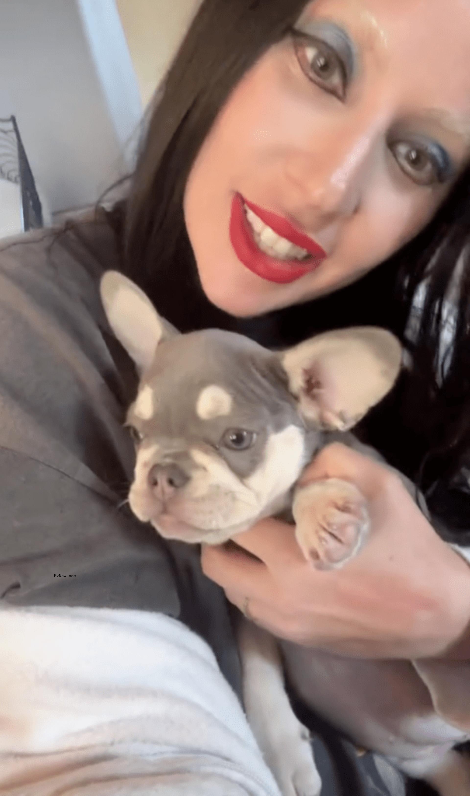 Lady Gaga with her new French Bulldog puppy